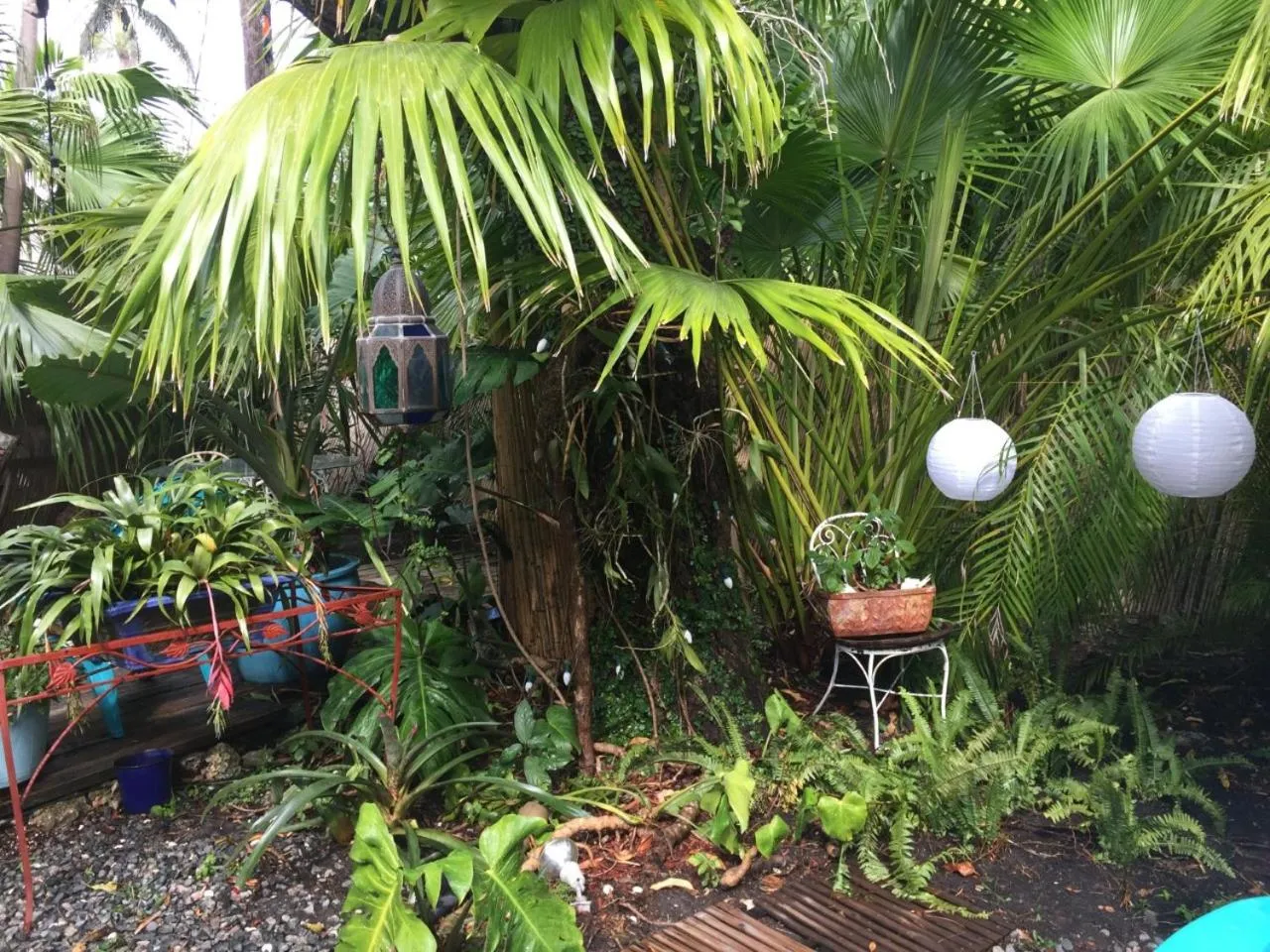 Natural landscape in The Wild Rose