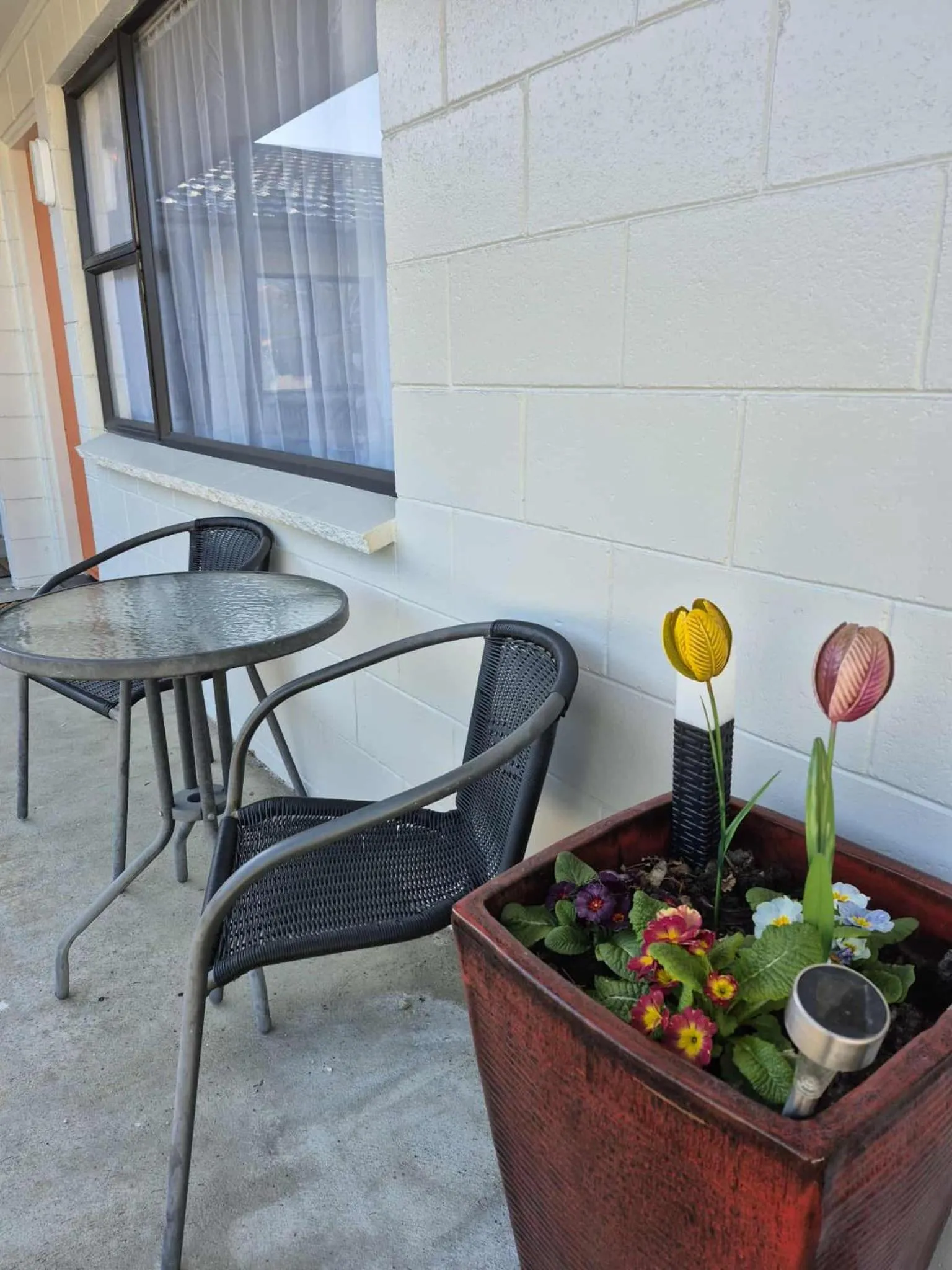 Garden in Alexandra Motor Lodge NZ