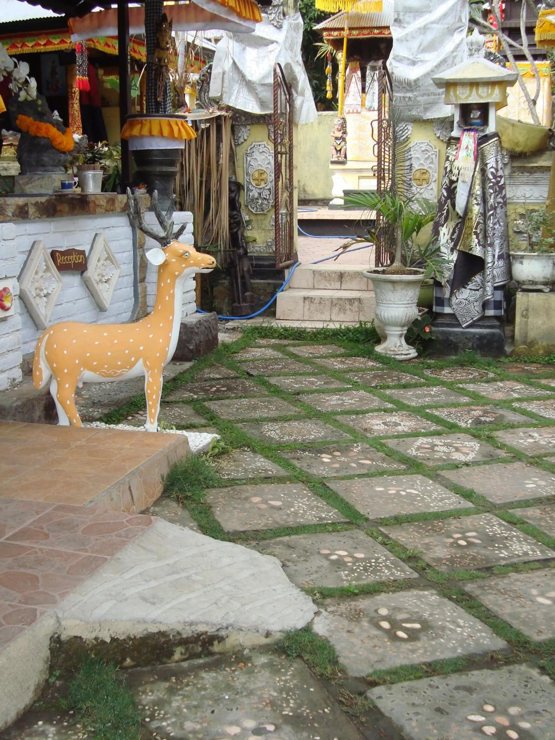 Neighbourhood in Taman Ayu Homestay Munduk Mitra RedDoorz