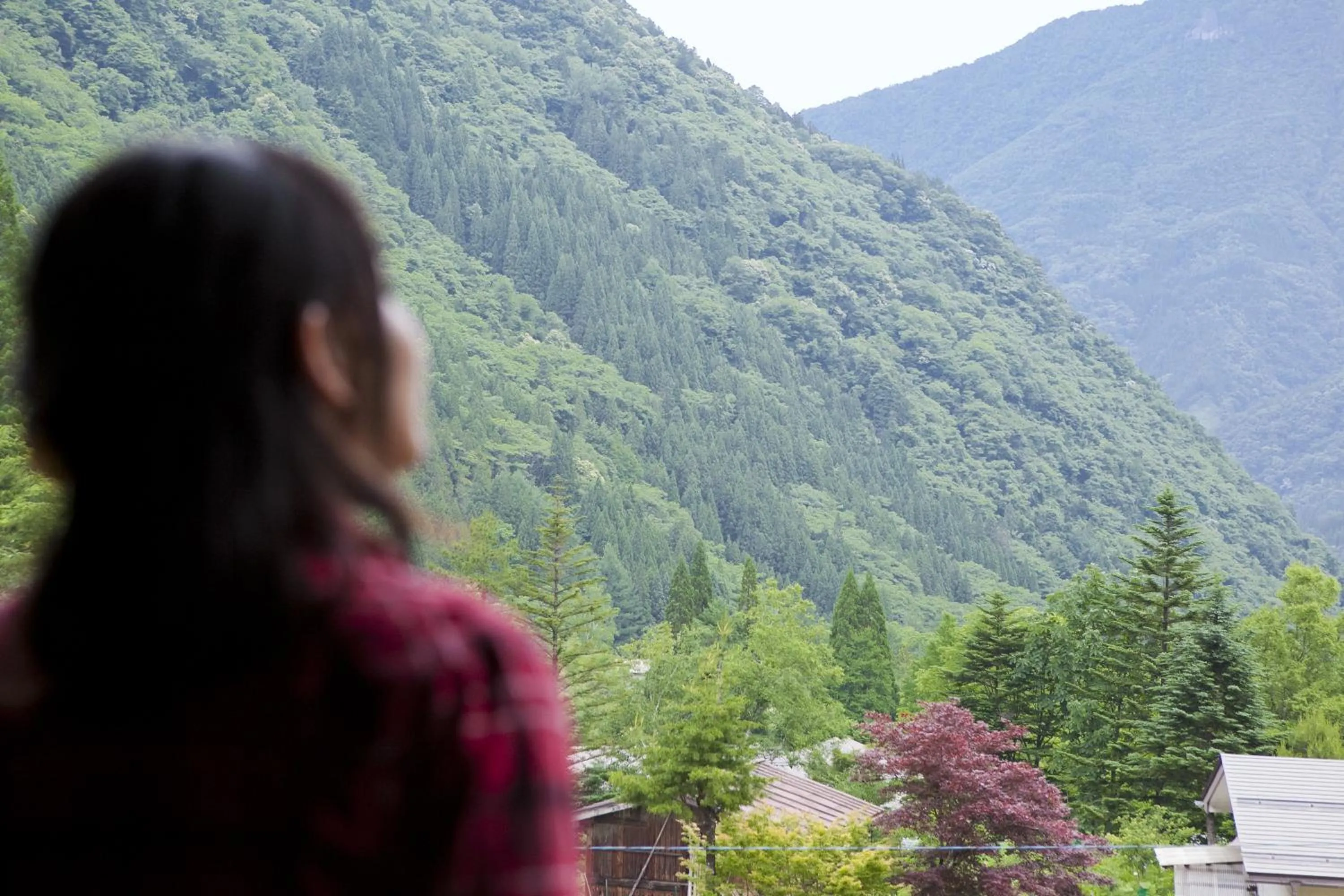 Mountain view in Suisensou