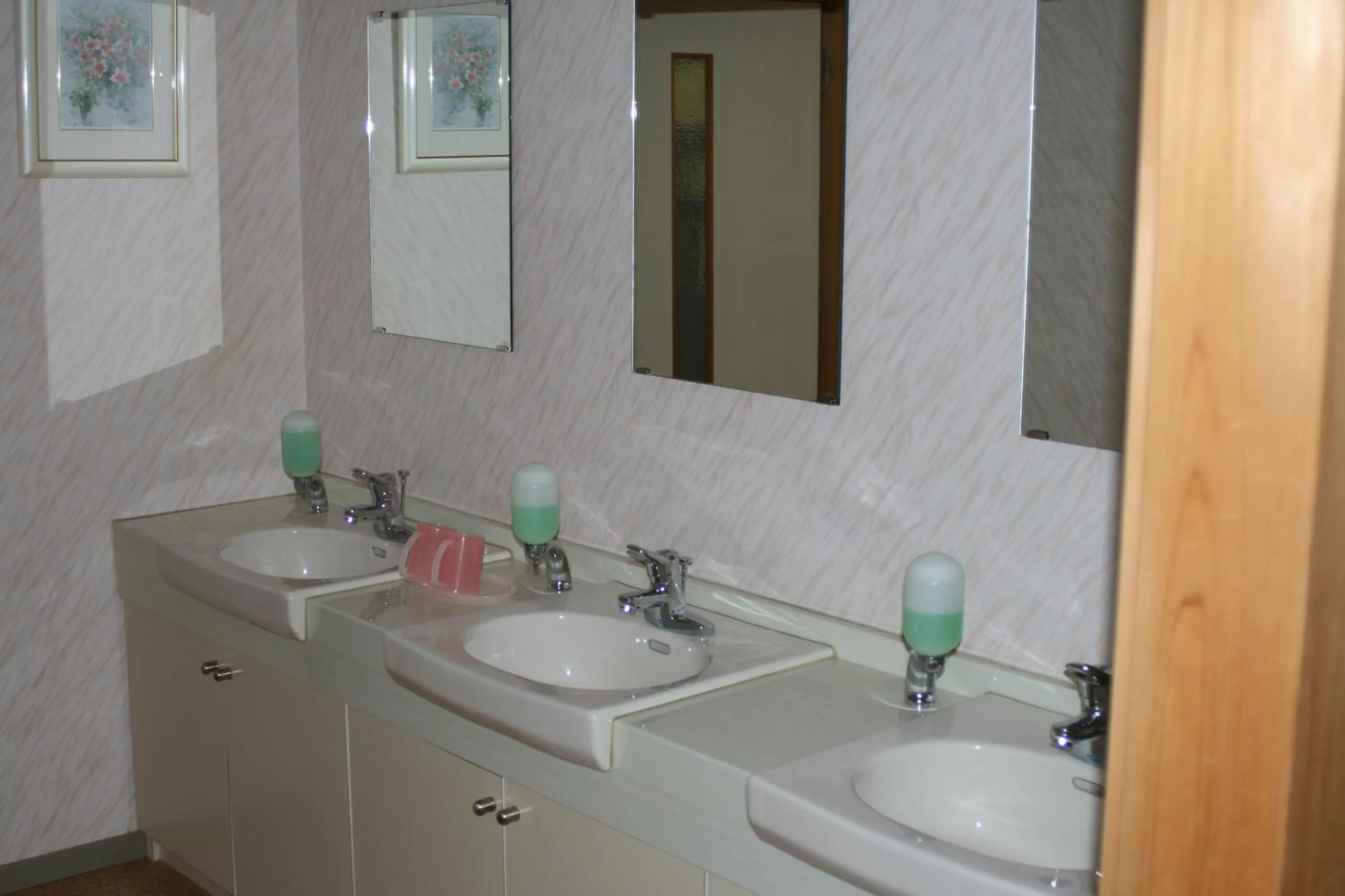 Spa and wellness centre/facilities in Suisensou