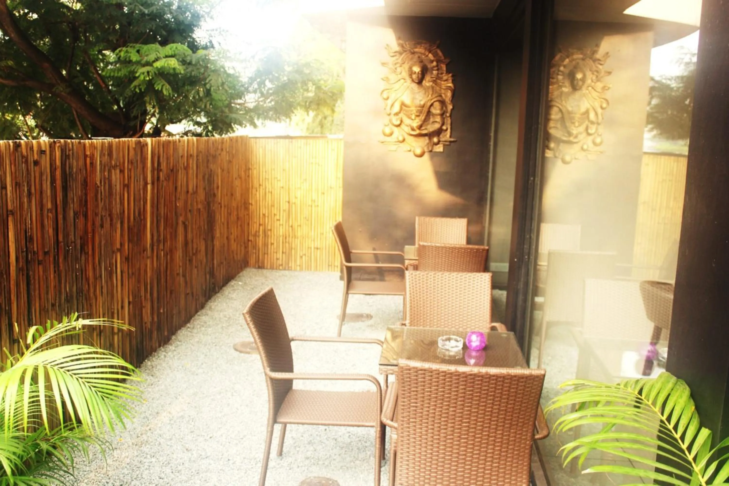 Restaurant/places to eat in Dragonfly Hotel - The Art Hotel