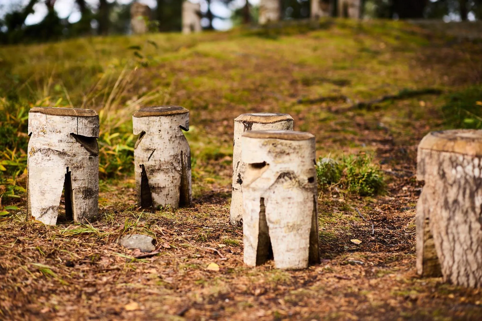 Inner courtyard view in Hostel Linnasmäki