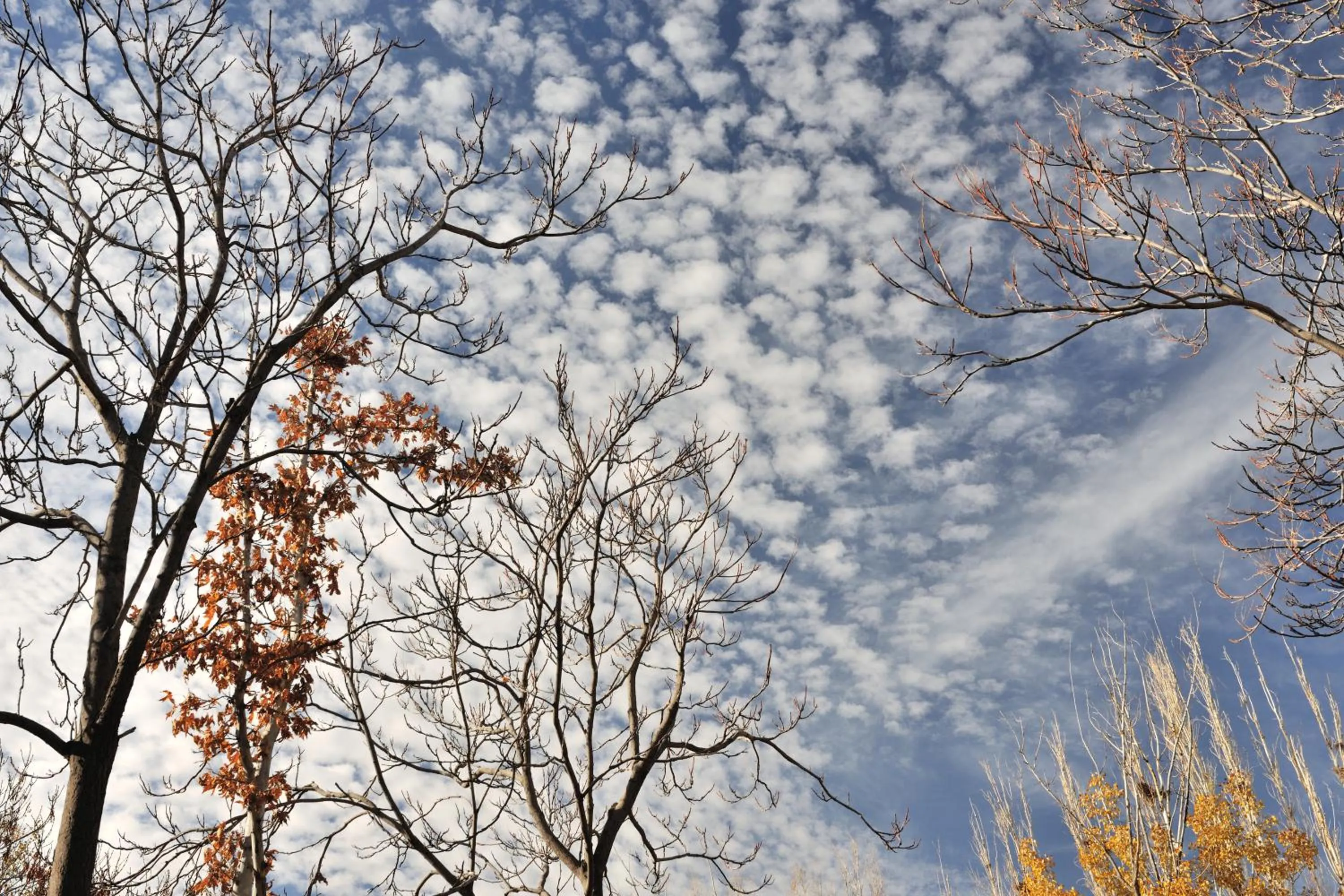 Winter in Agacli Hotel