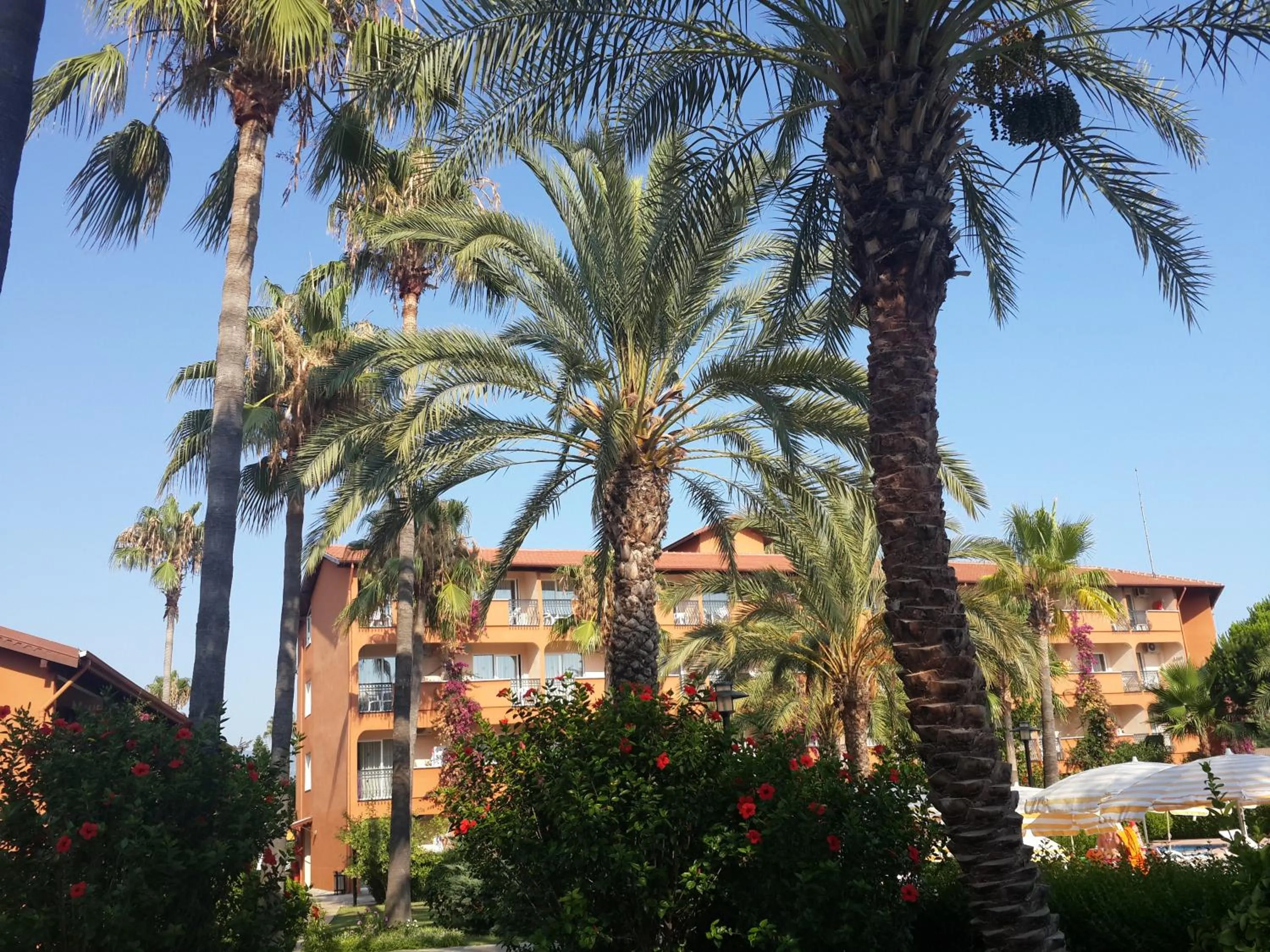 Garden view in Club Turtas Beach - All Inclusive