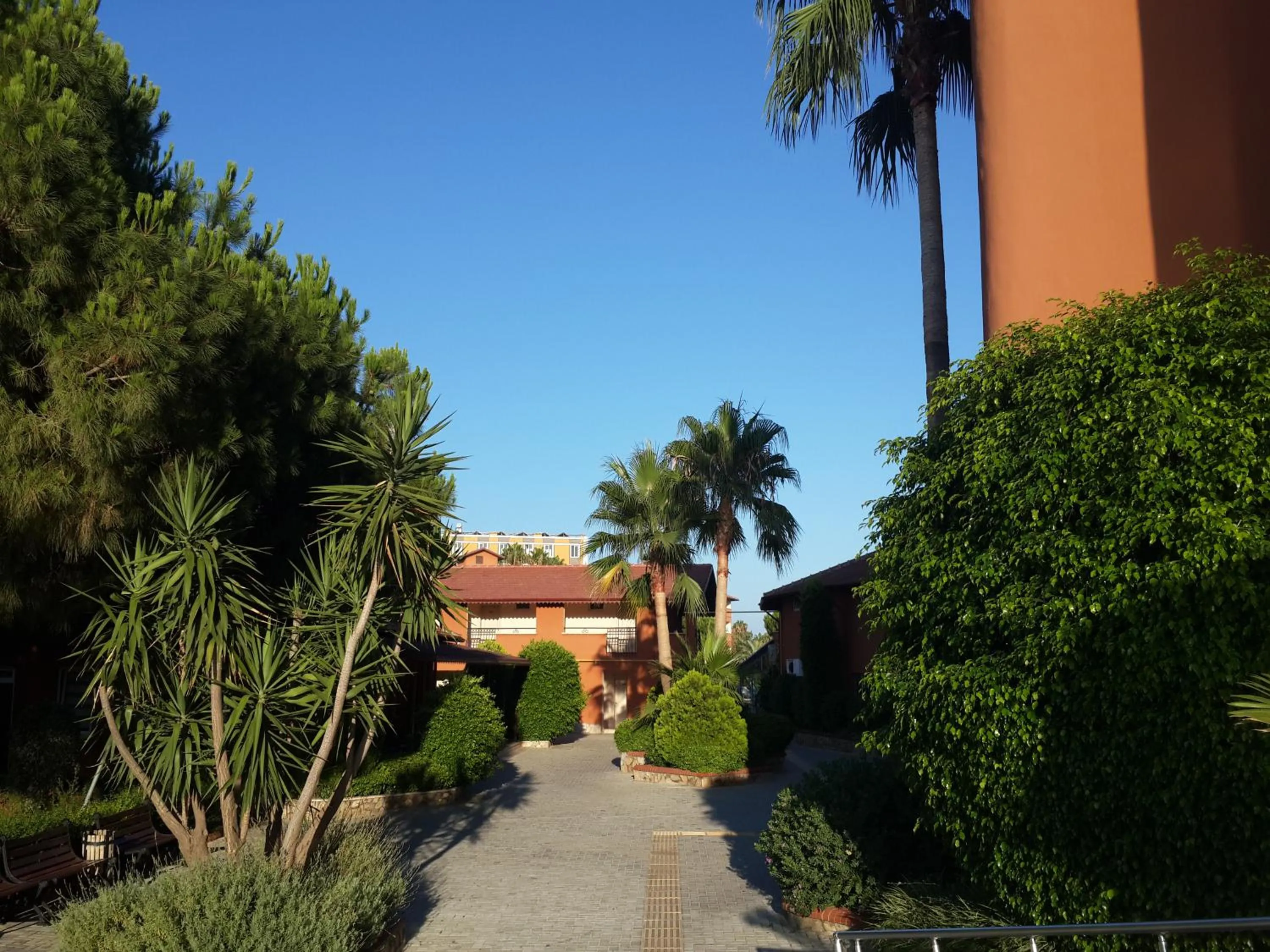 Area and facilities in Club Turtas Beach - All Inclusive