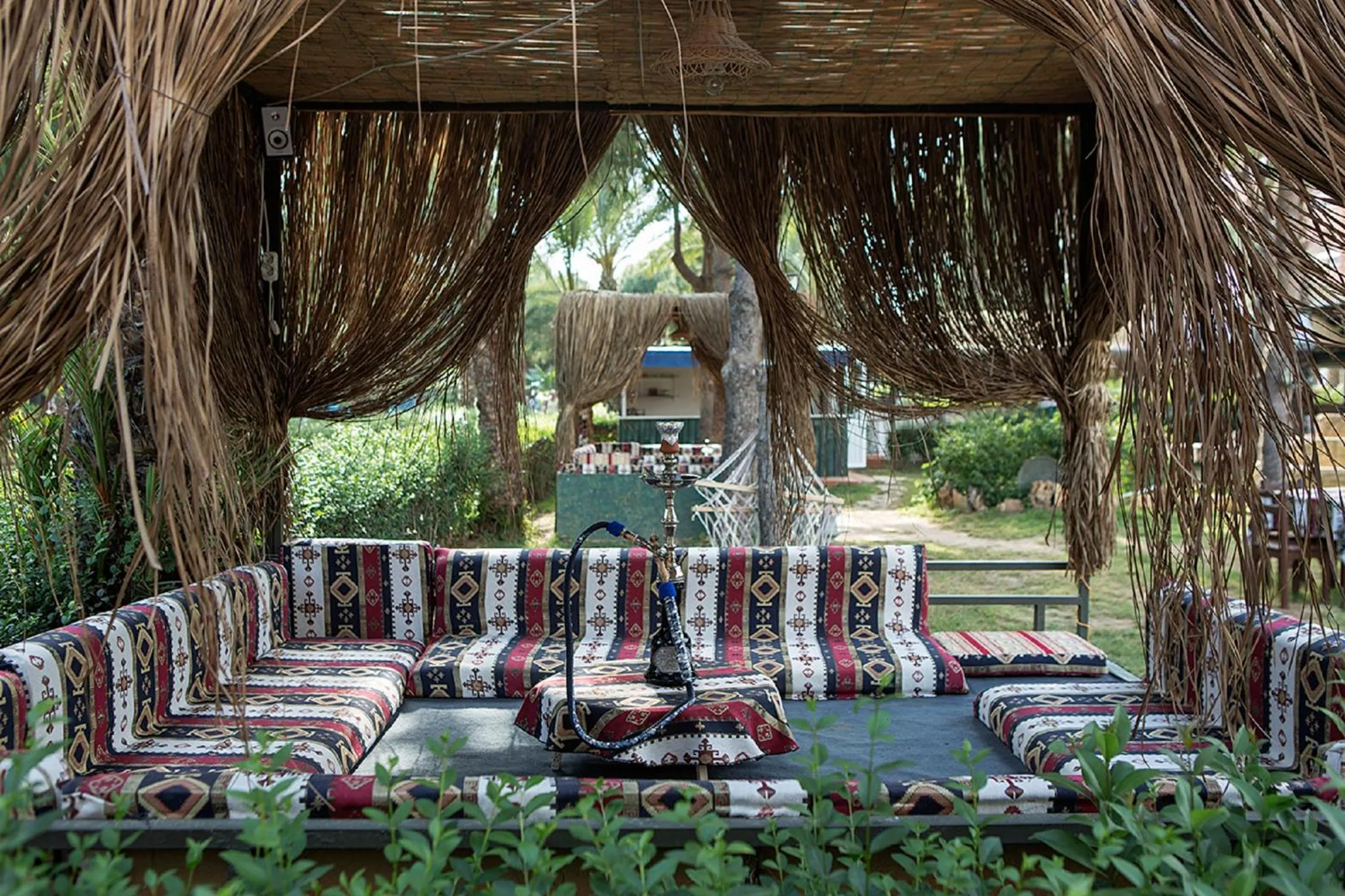 Area and facilities in Club Turtas Beach - All Inclusive