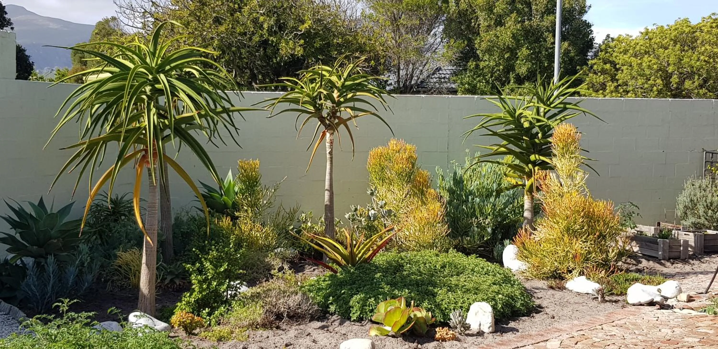 Garden in Port Del Mar Guesthouse
