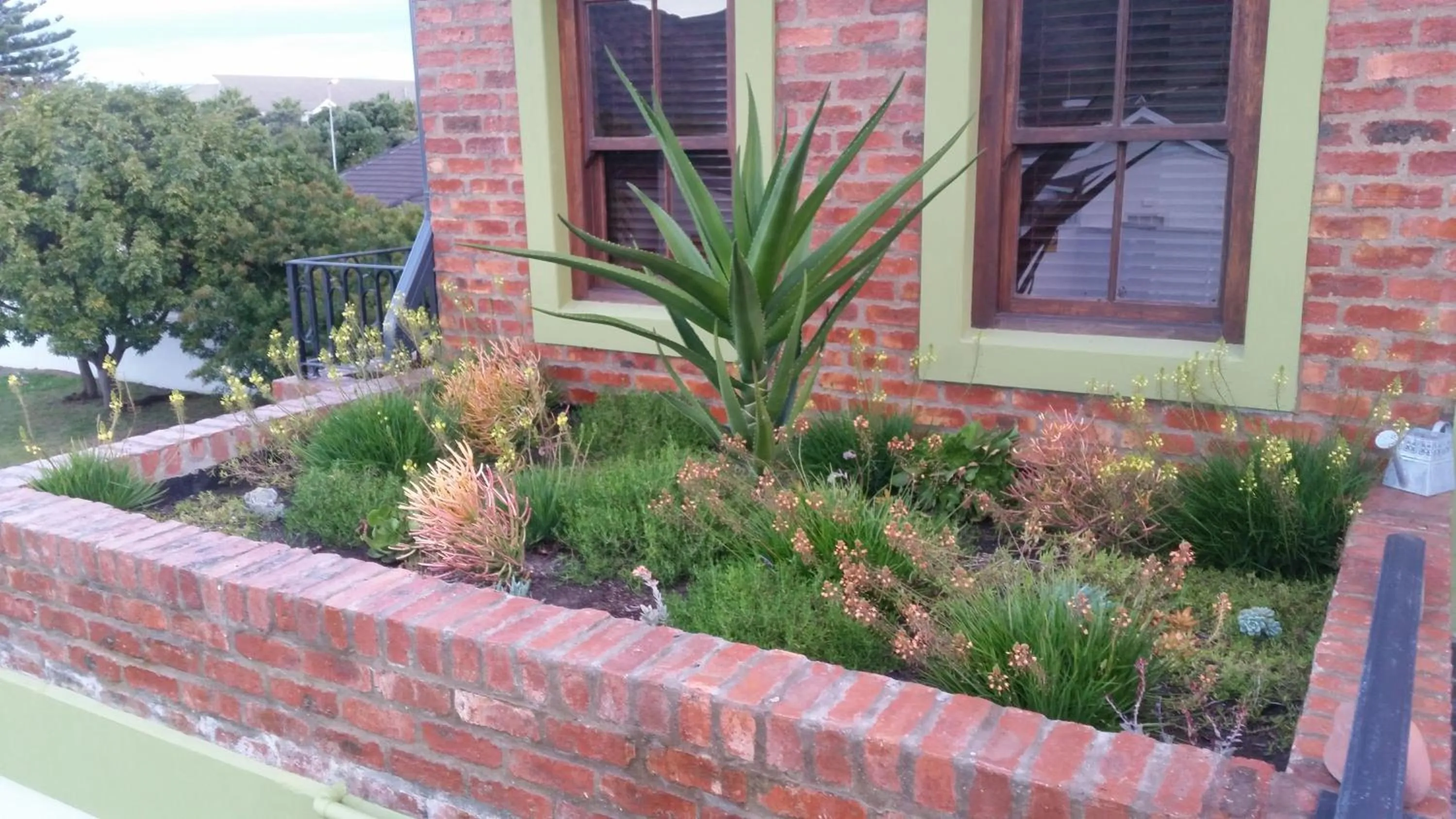 Garden in Port Del Mar Guesthouse
