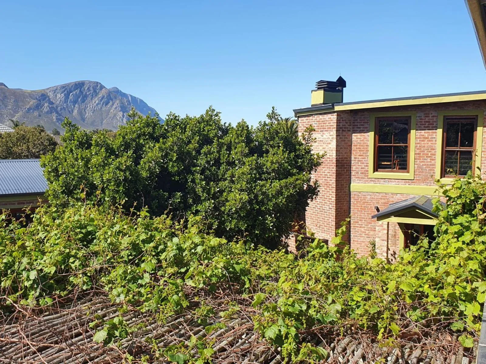 Mountain view in Port Del Mar Guesthouse