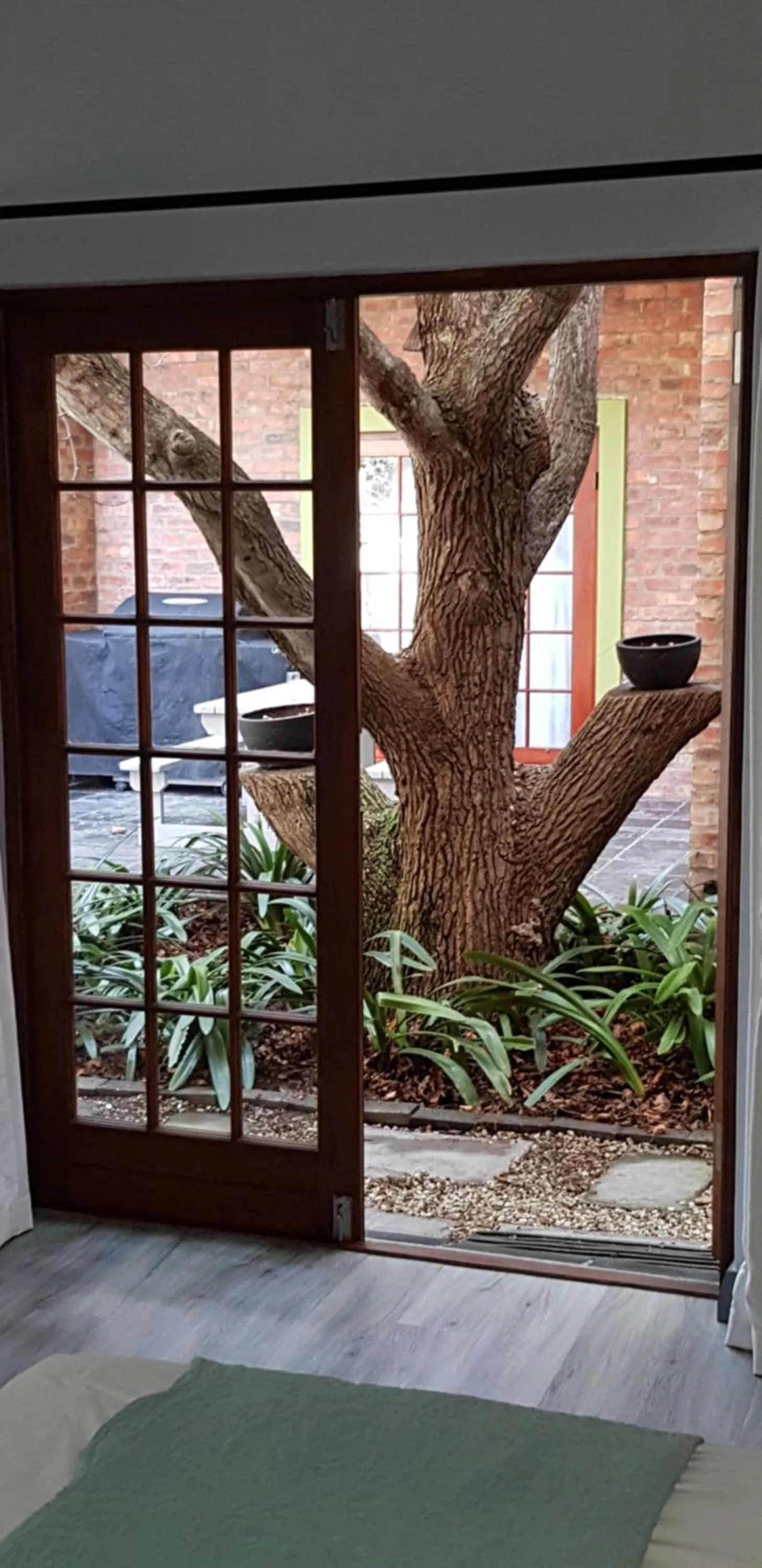 Garden view in Port Del Mar Guesthouse