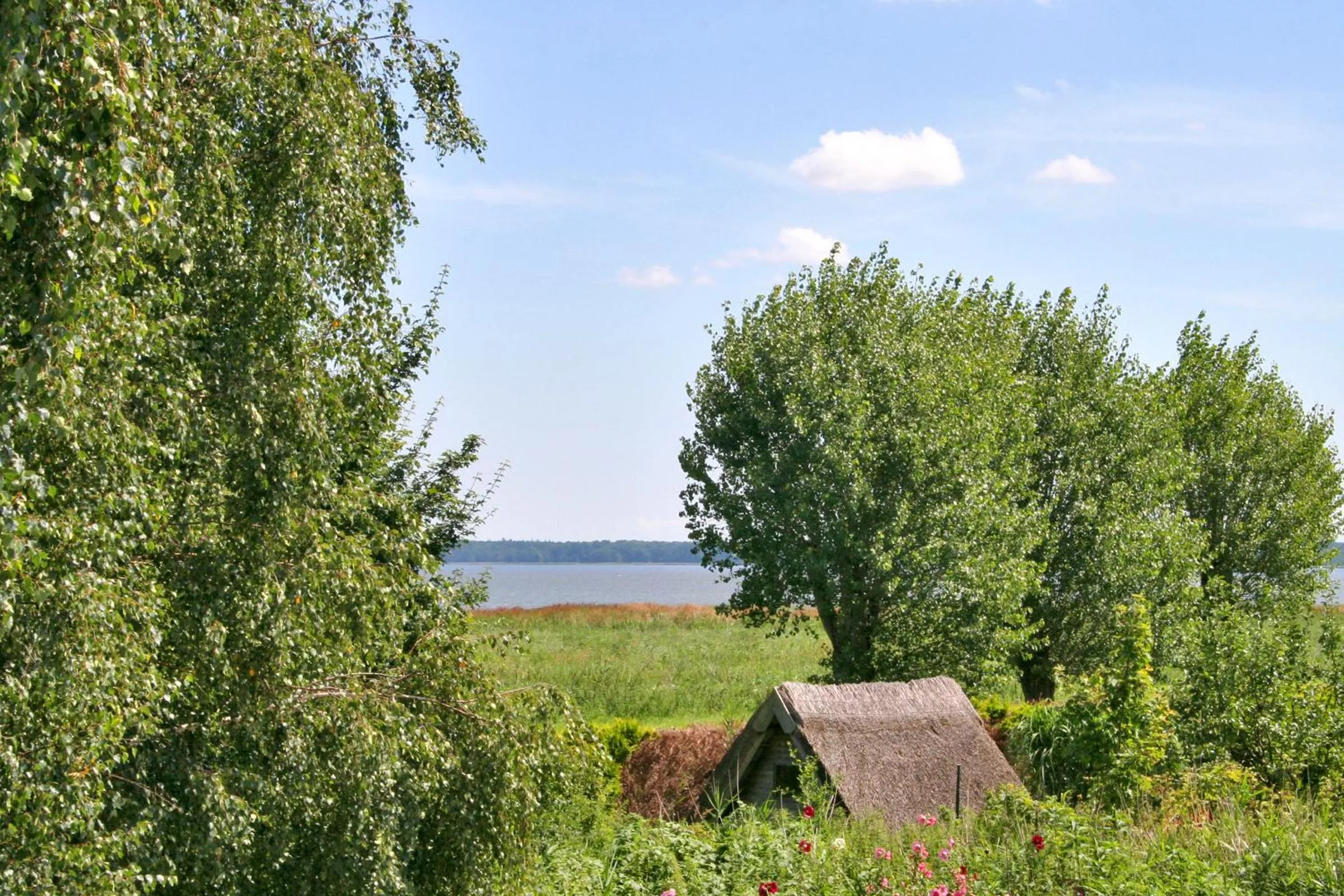 Area and facilities in Pension Amo Marem