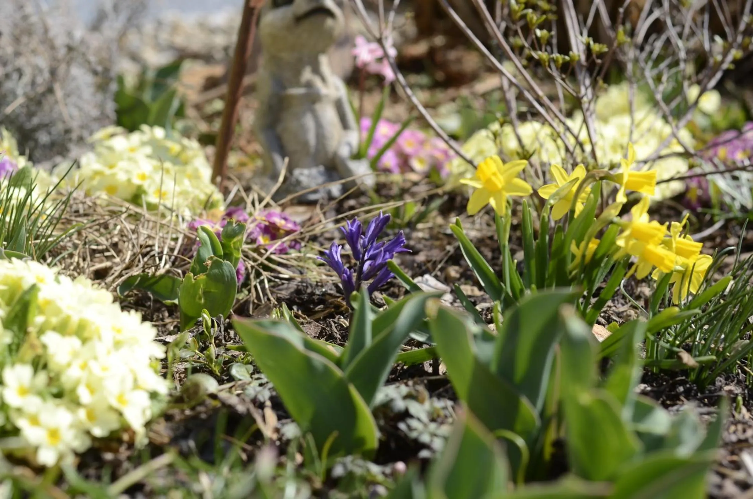 Property building in Gästehaus Christa ****