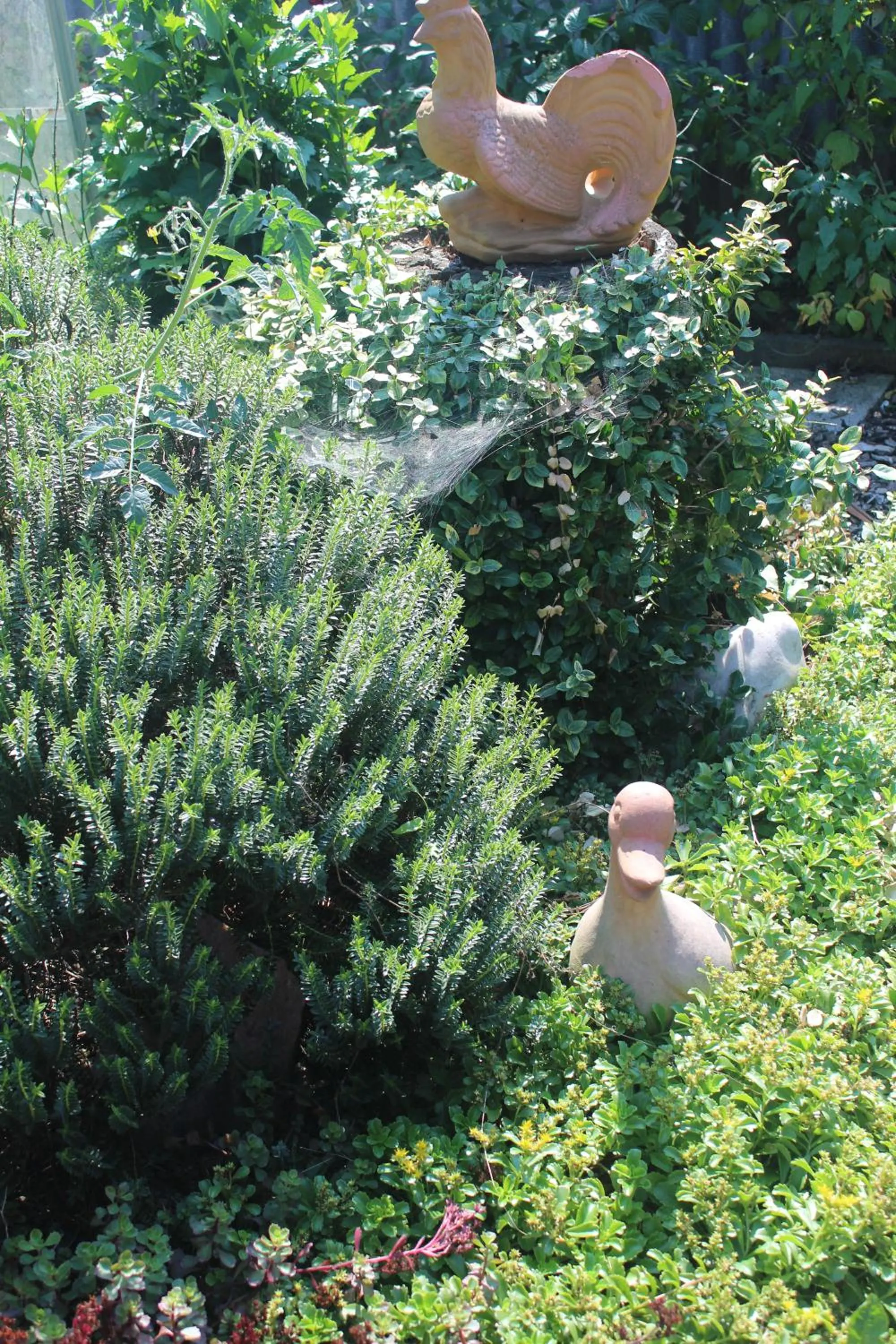 Garden view in Gästehaus Christa ****