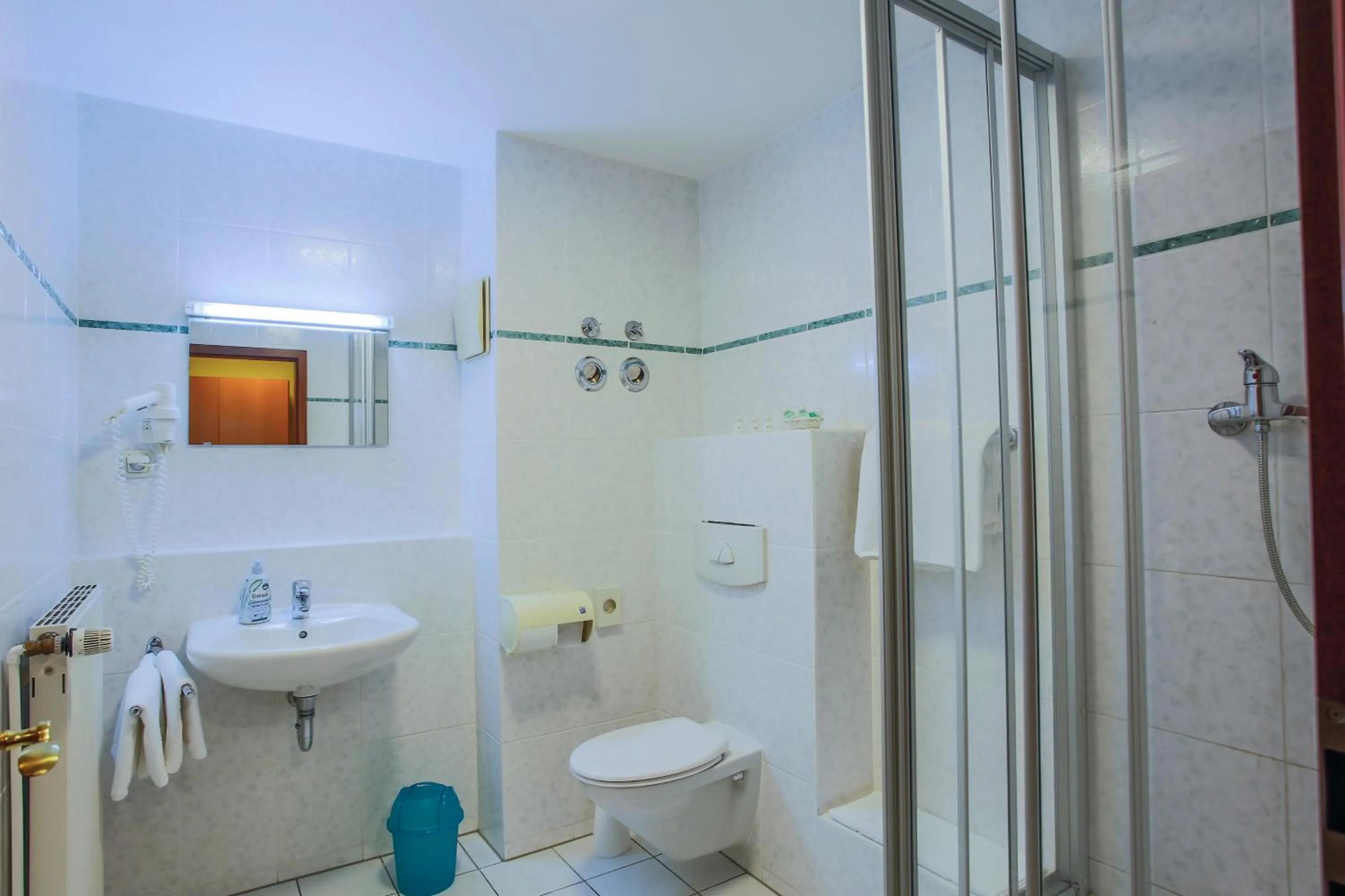 Shower in Hotel Ideal