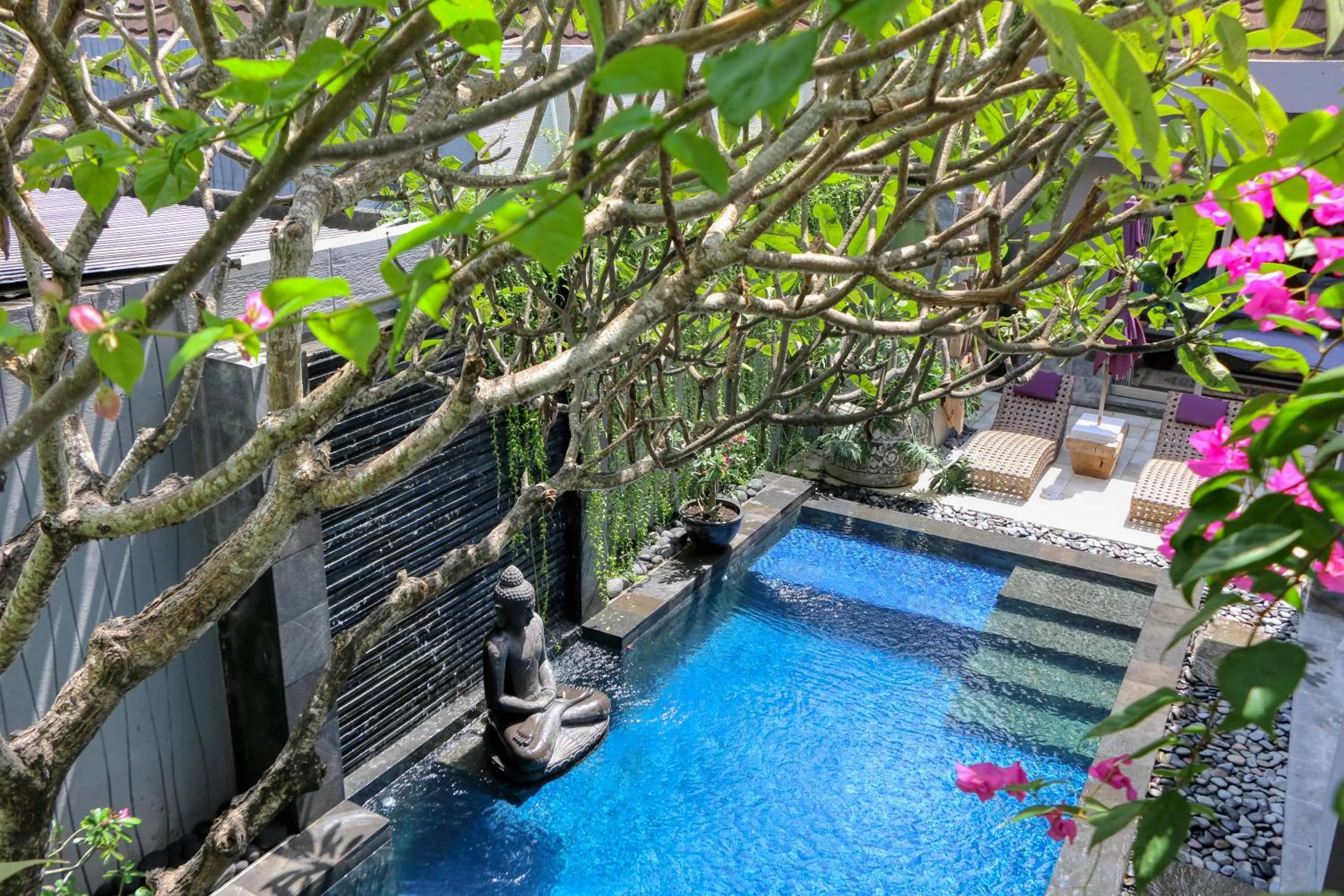 Pronoia Beach Resort