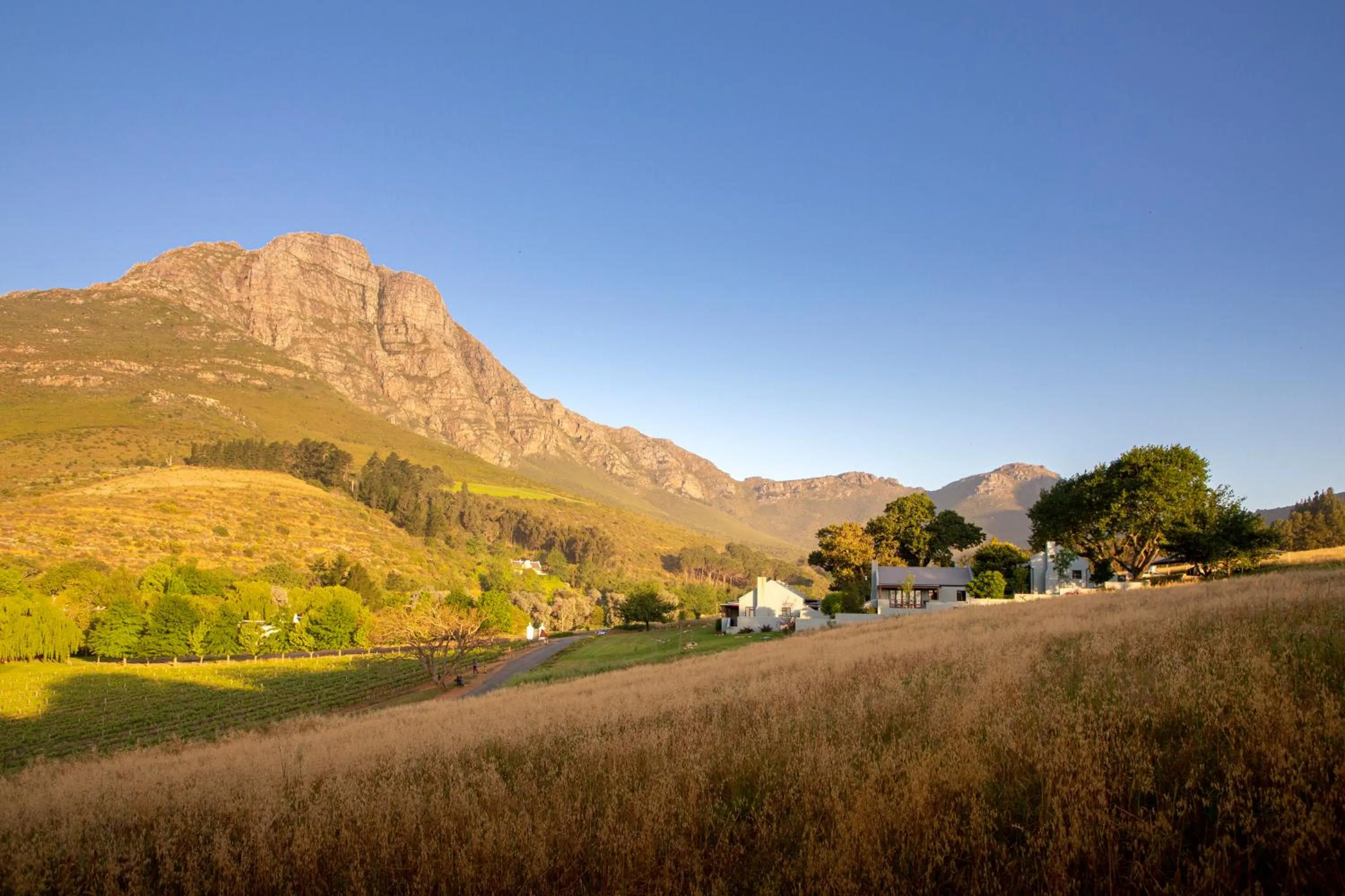 Natural landscape in Mont Angelis