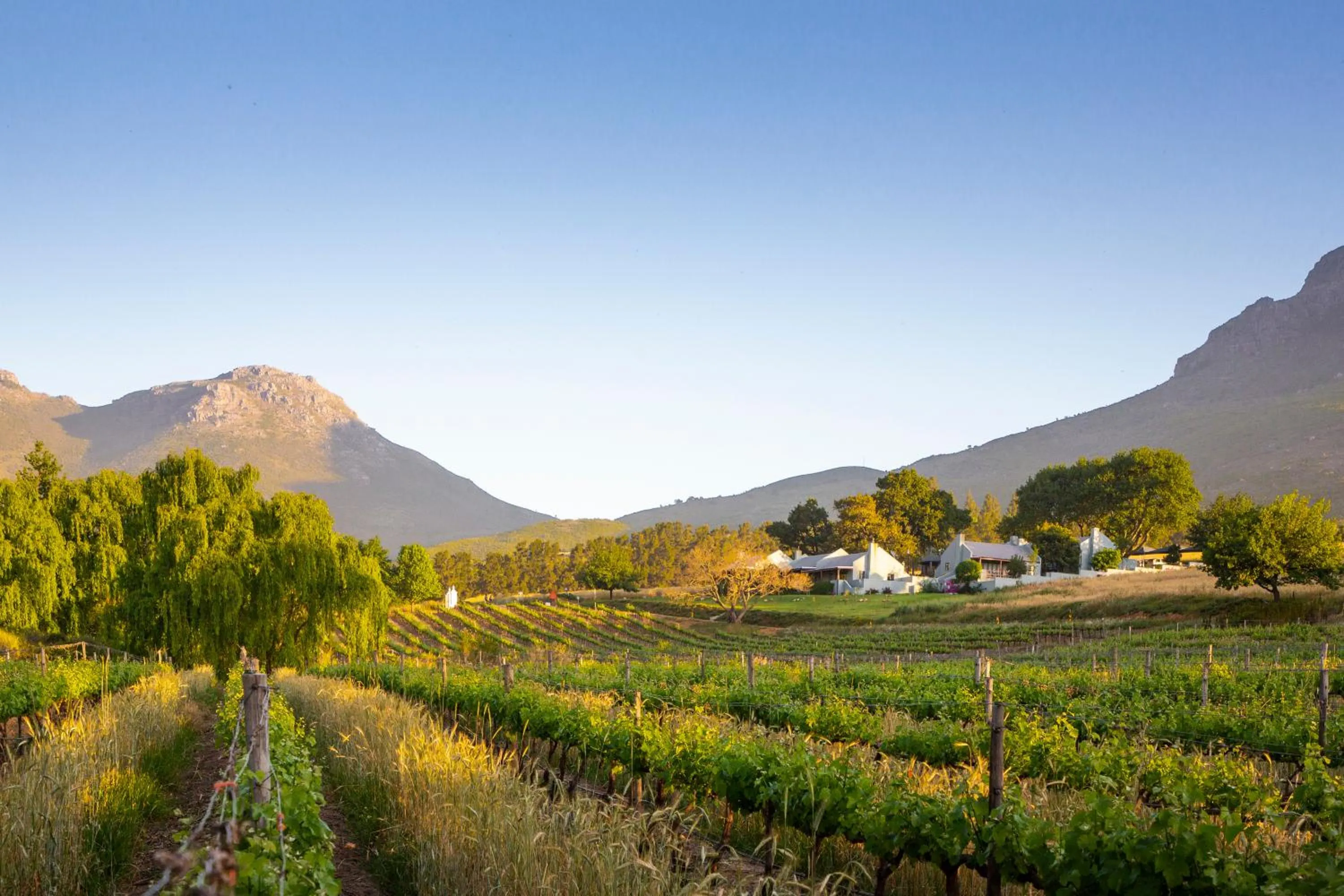 Natural landscape in Mont Angelis