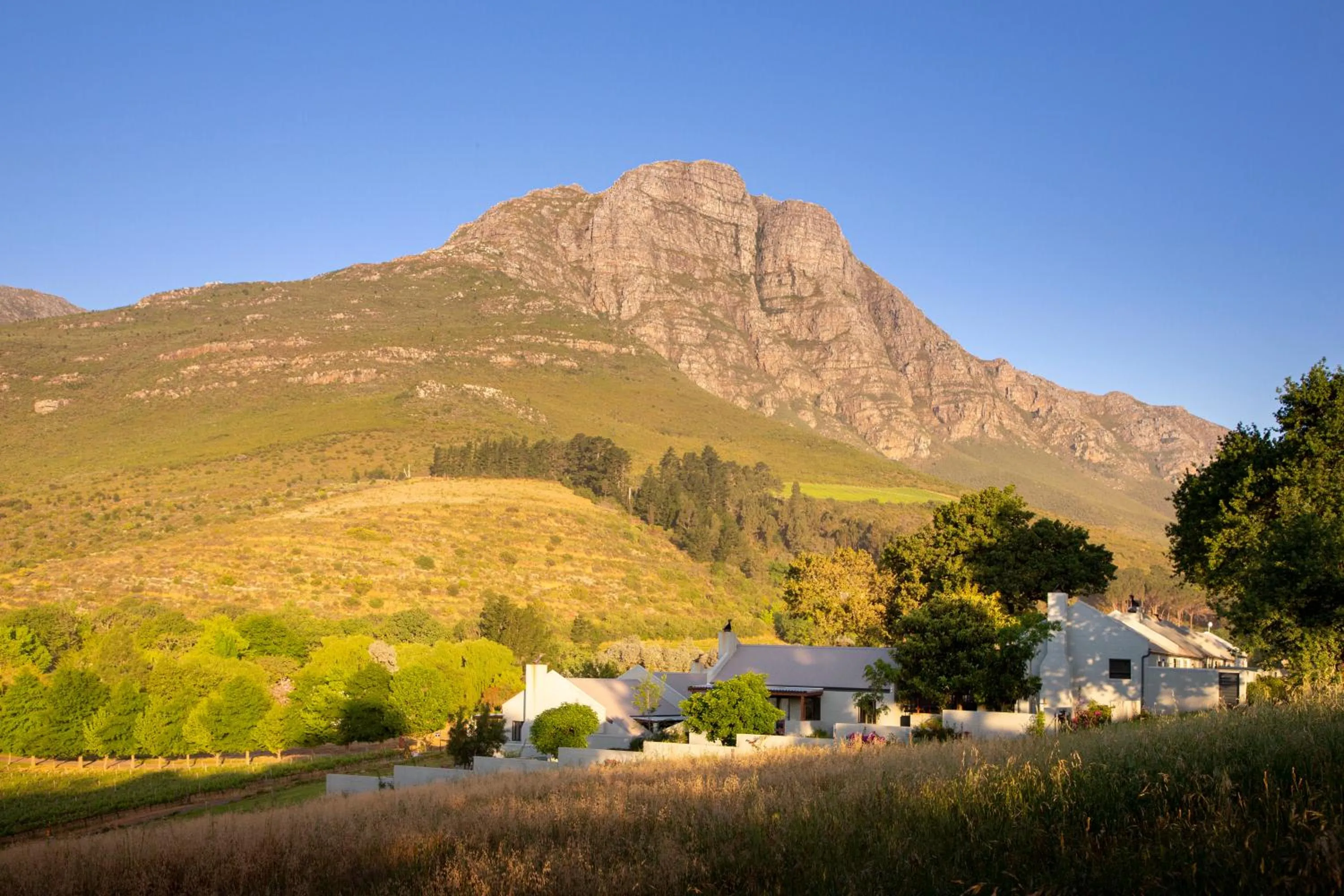 Natural landscape in Mont Angelis
