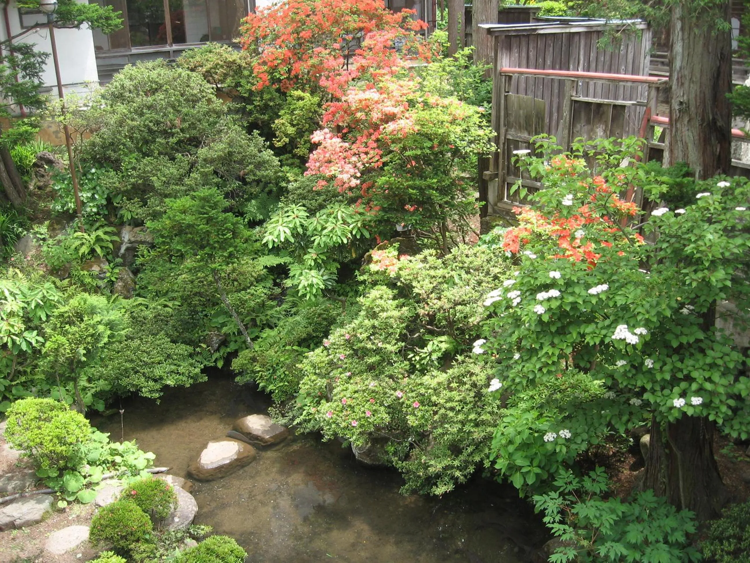 Spring in Maruka Ryokan