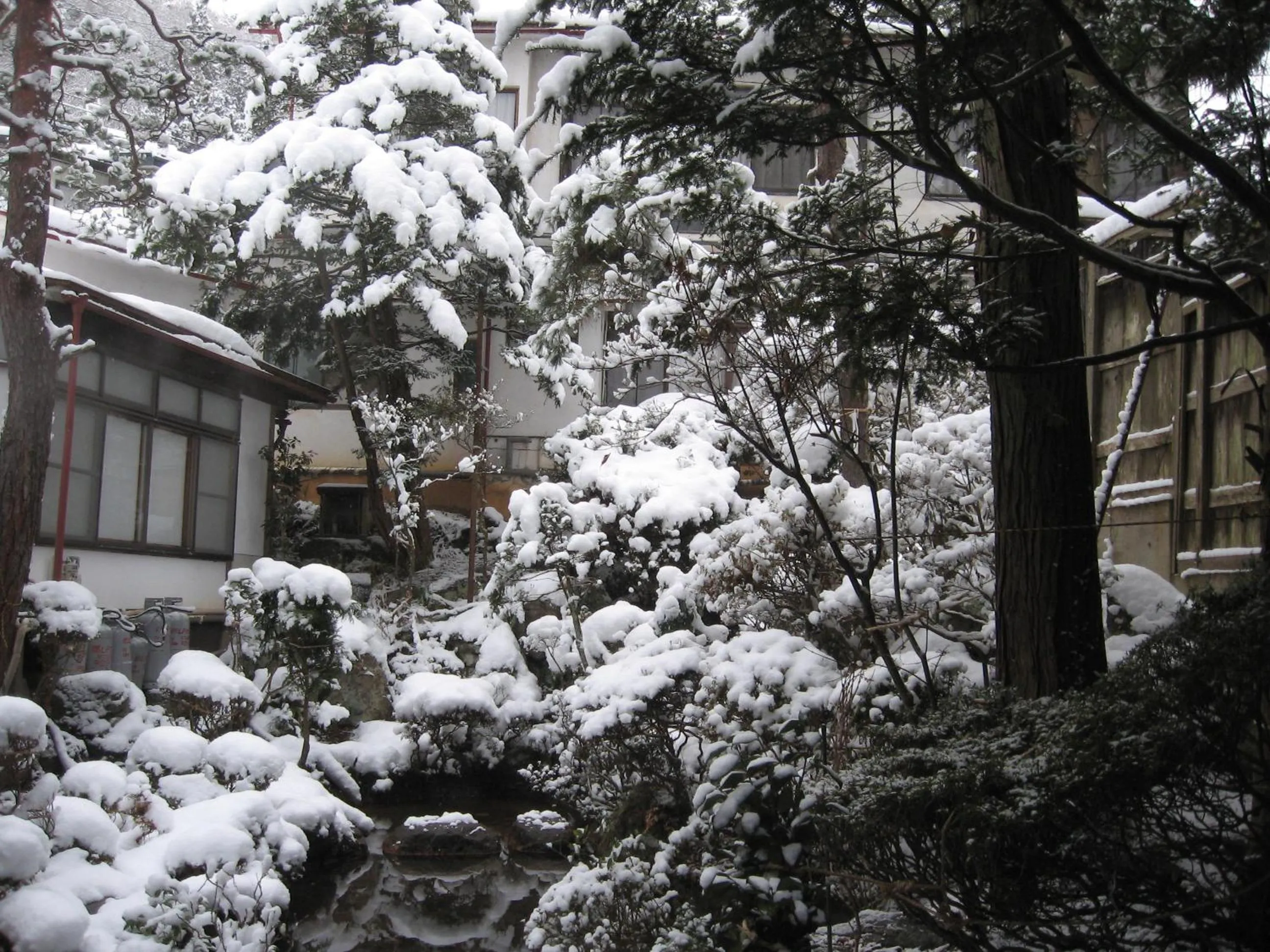 Winter in Maruka Ryokan