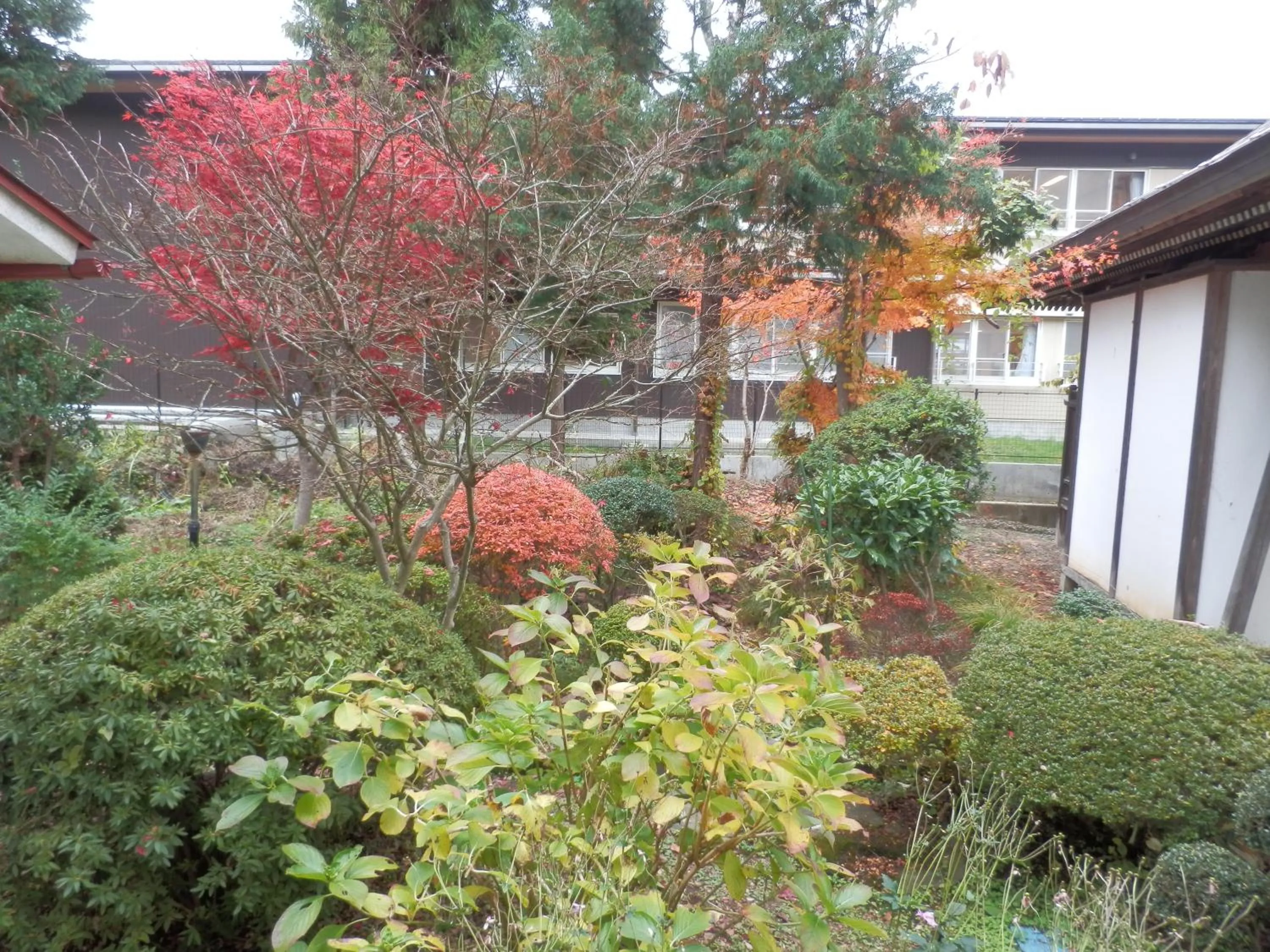 Garden in Maruka Ryokan