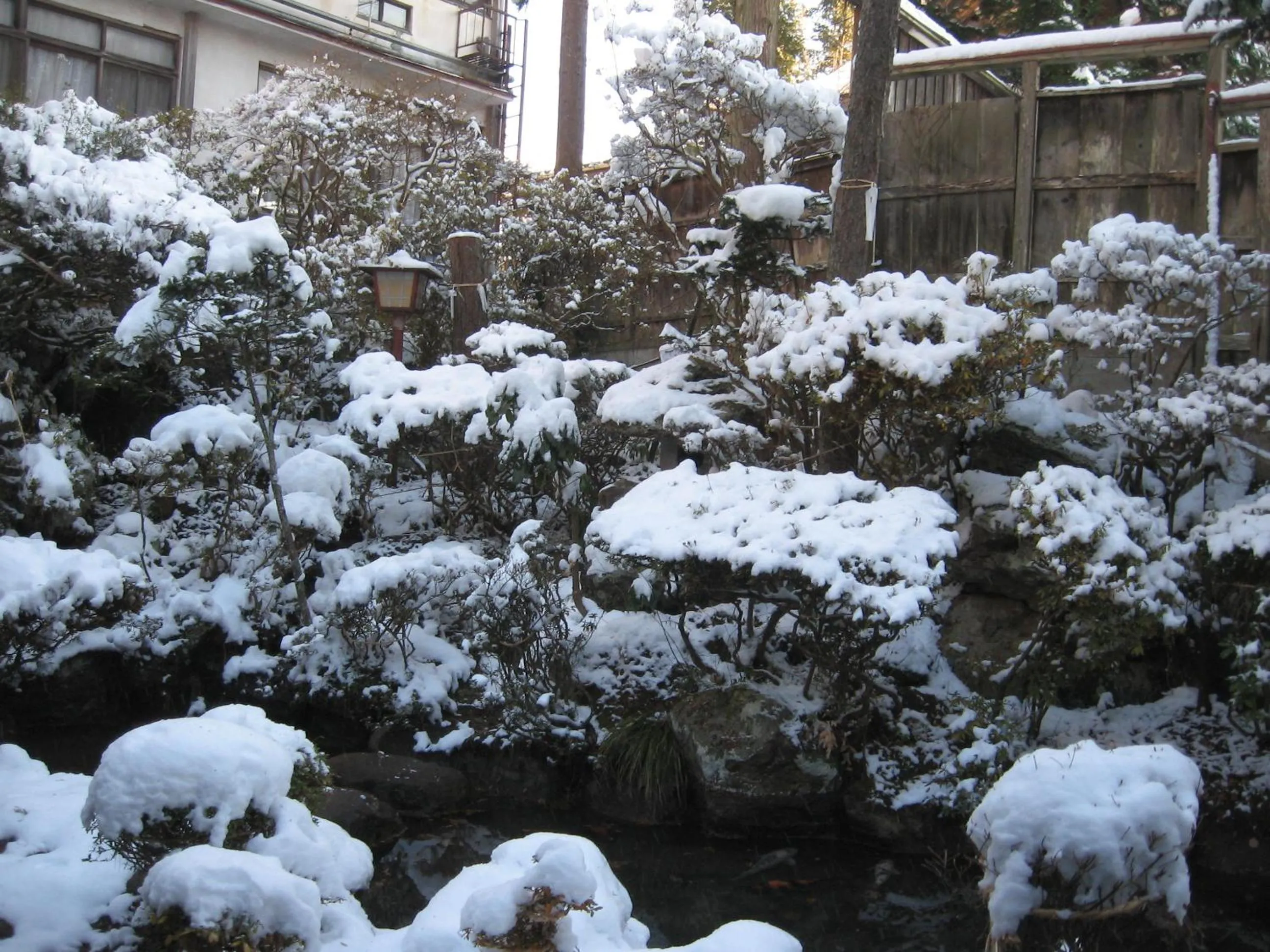Winter in Maruka Ryokan