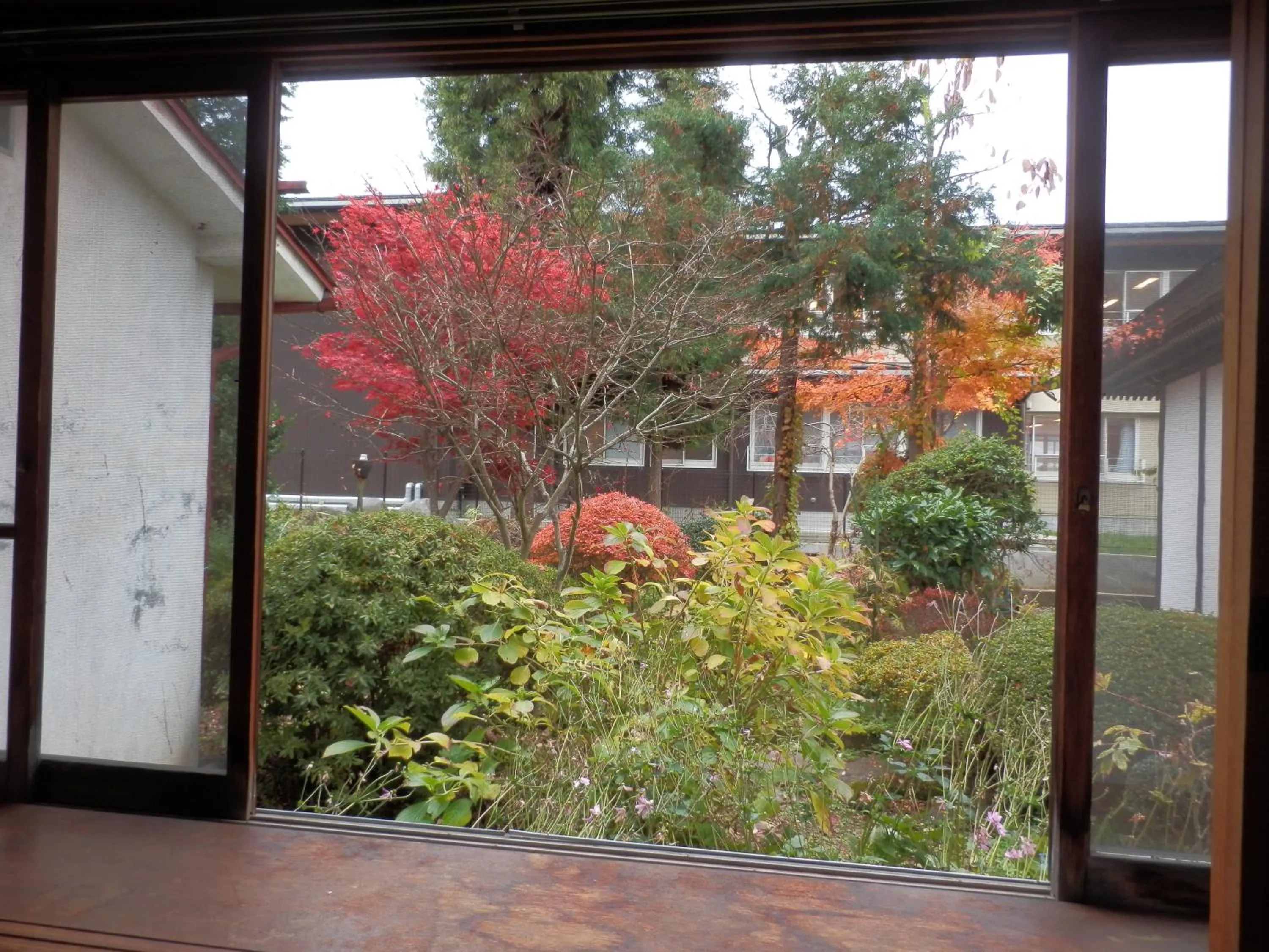 View (from property/room) in Maruka Ryokan