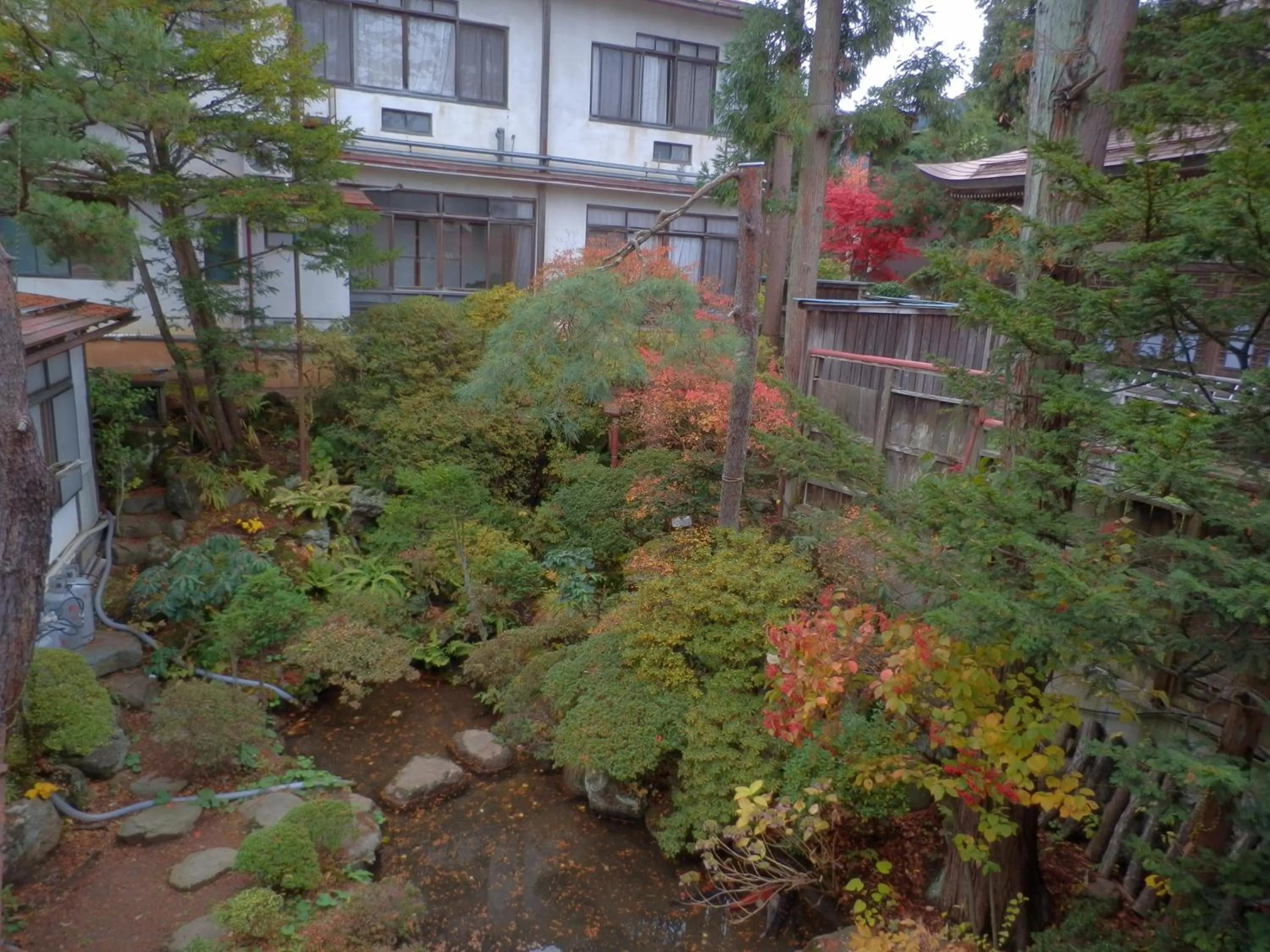 Garden in Maruka Ryokan