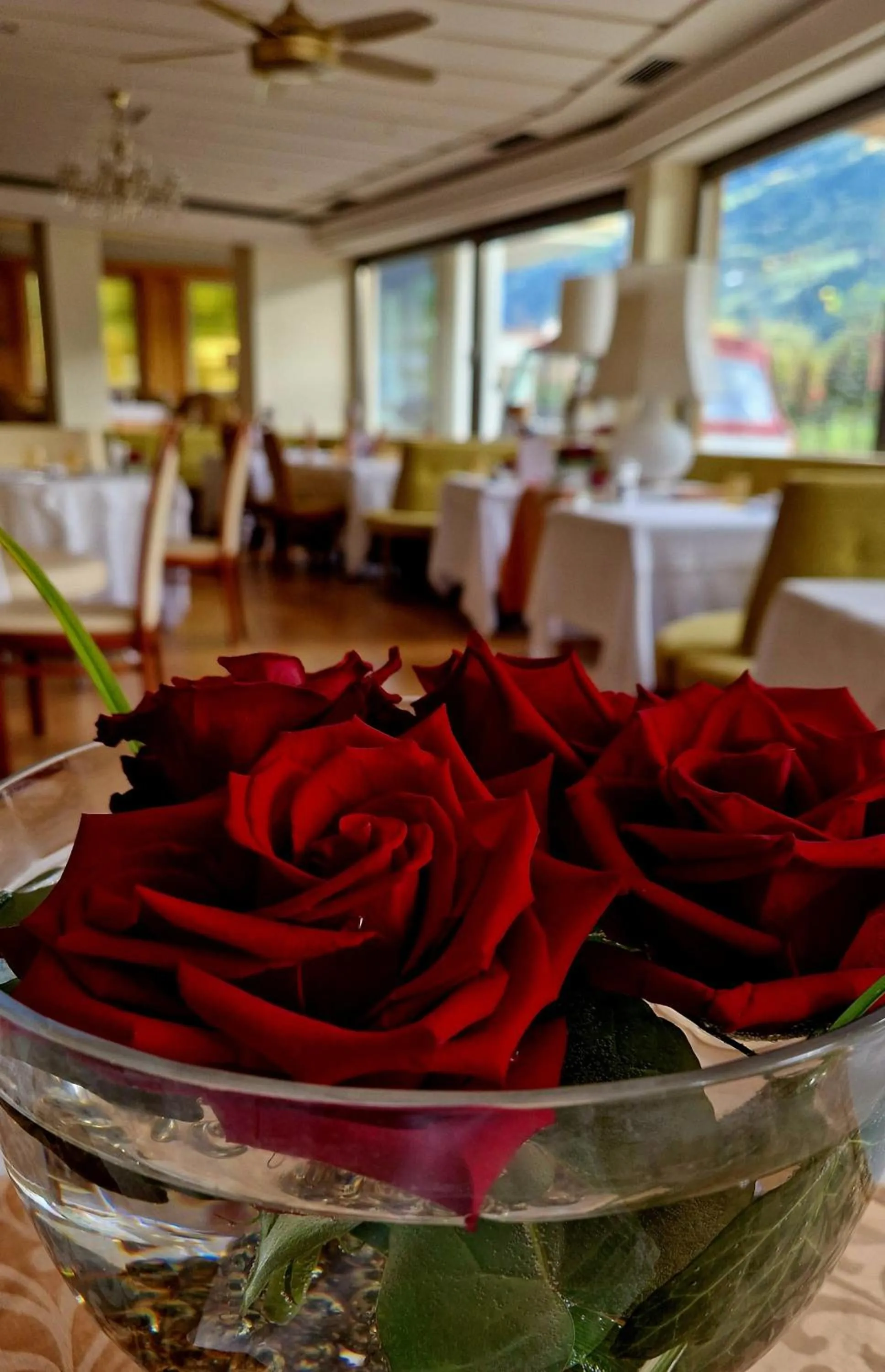 Restaurant/places to eat in Hotel Nocturnes