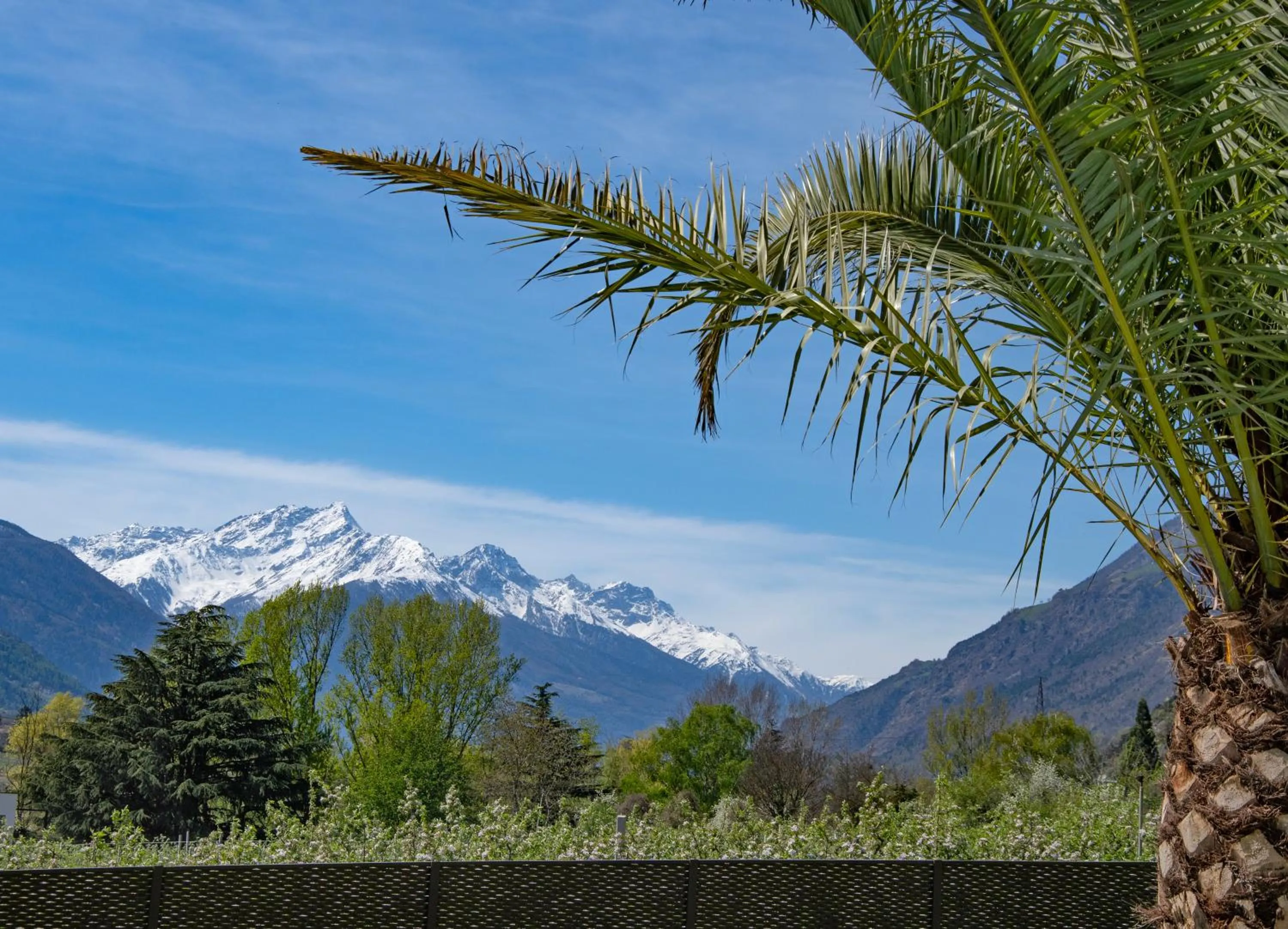 View (from property/room) in Hotel Nocturnes