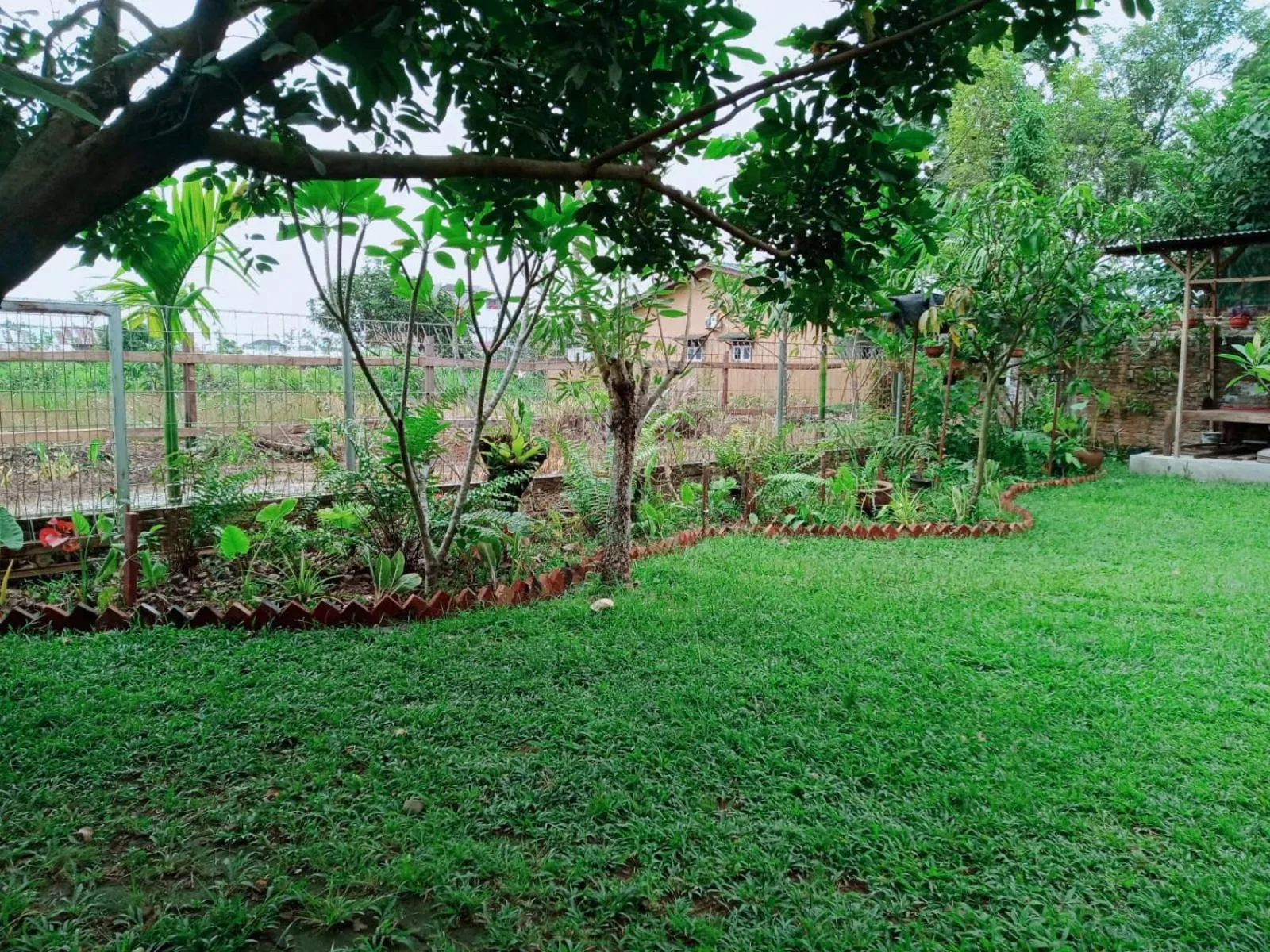 Day in Bua Guest House