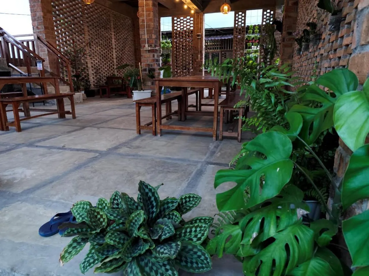 Dinner in Bua Guest House