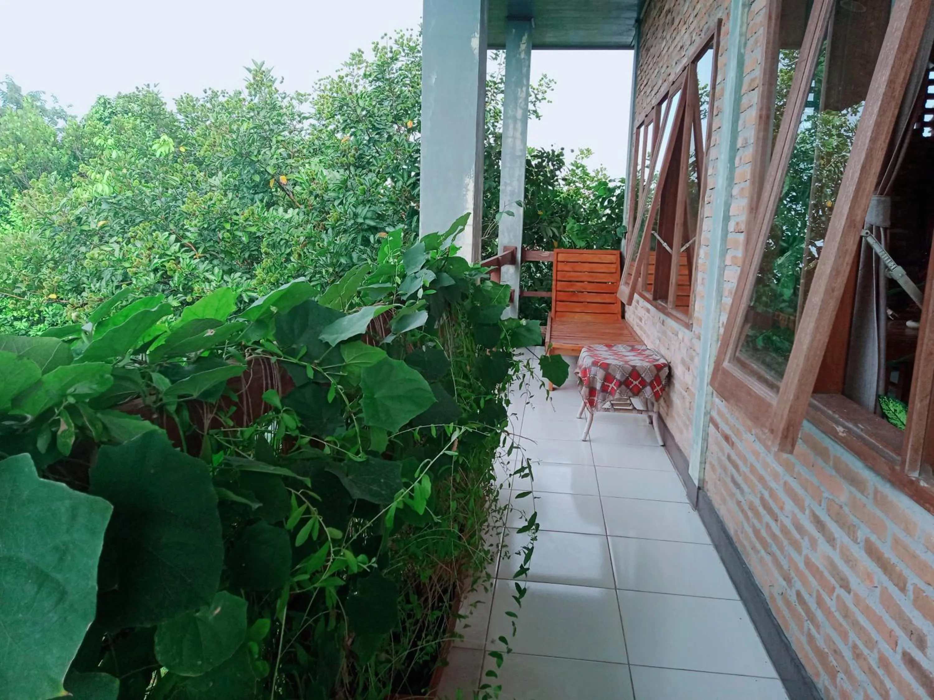 Balcony/Terrace in Bua Guest House