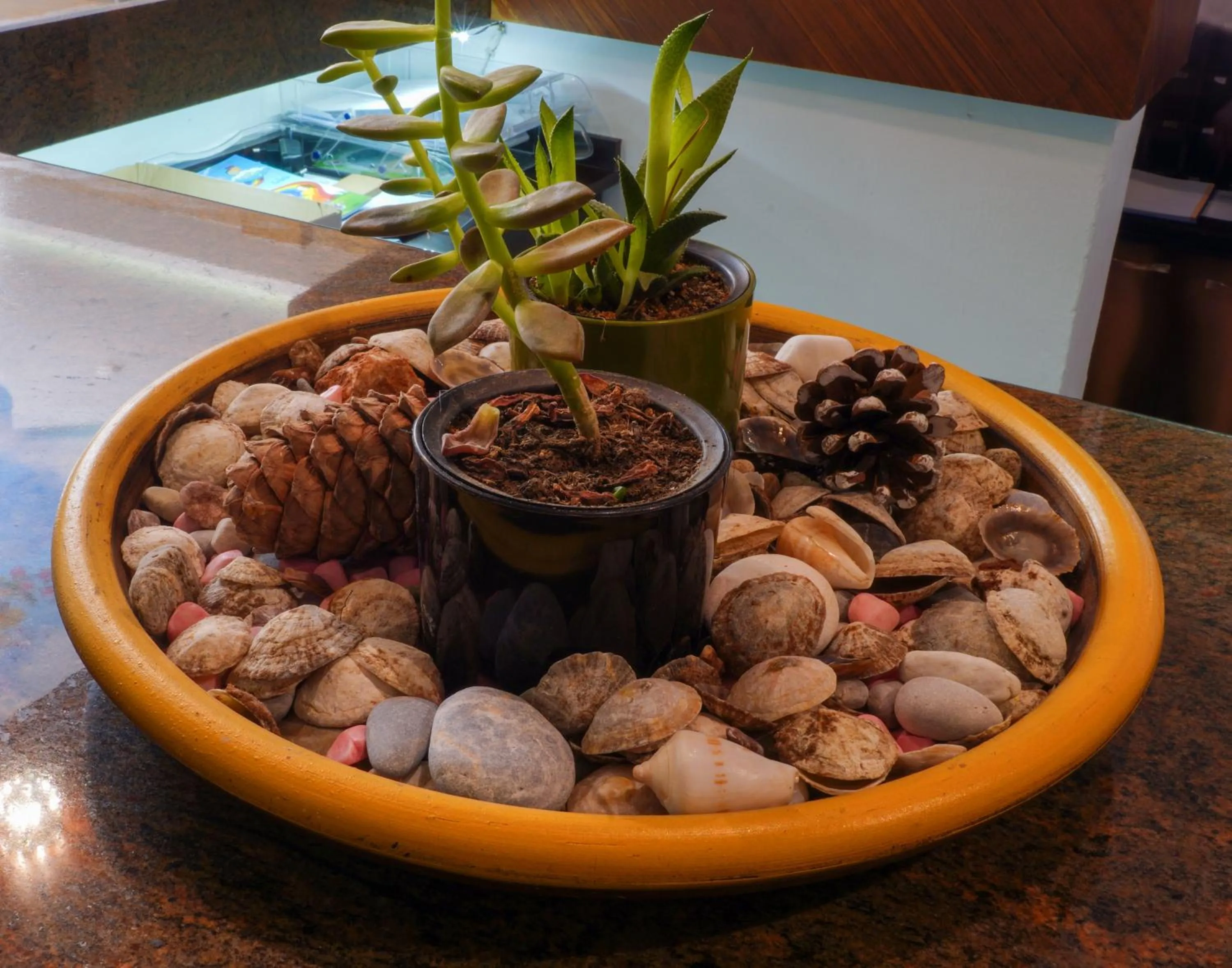 Natural landscape in Parador Beach Hotel All Inclusive