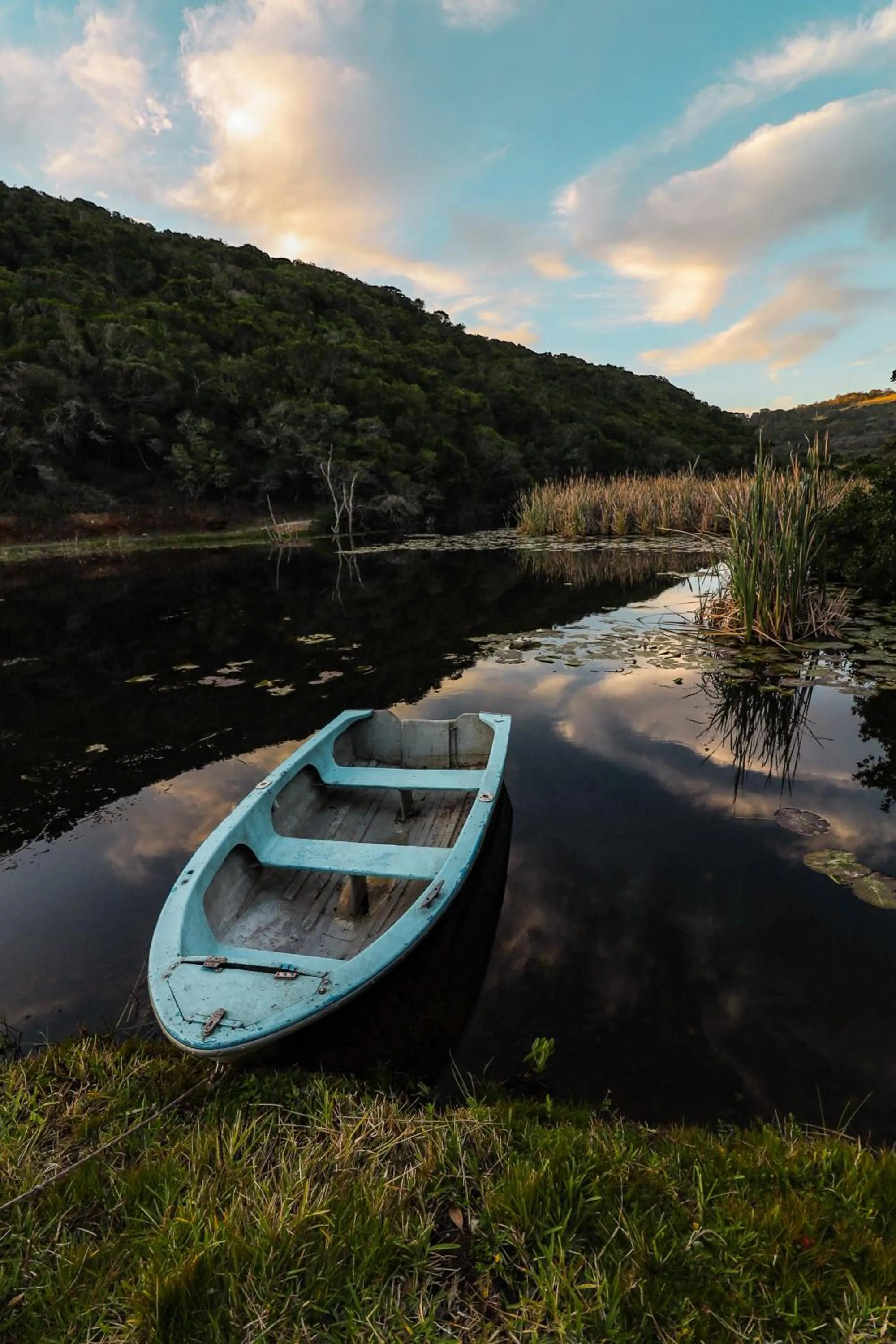 Natural landscape in Thunzi Bush Lodge