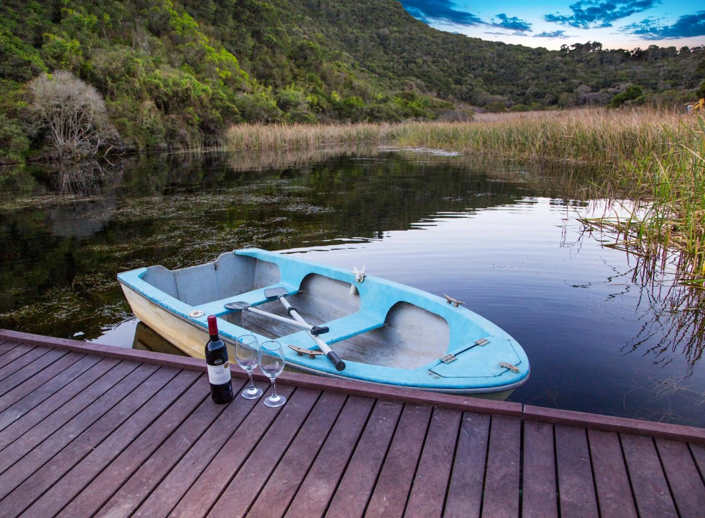 Natural landscape in Thunzi Bush Lodge