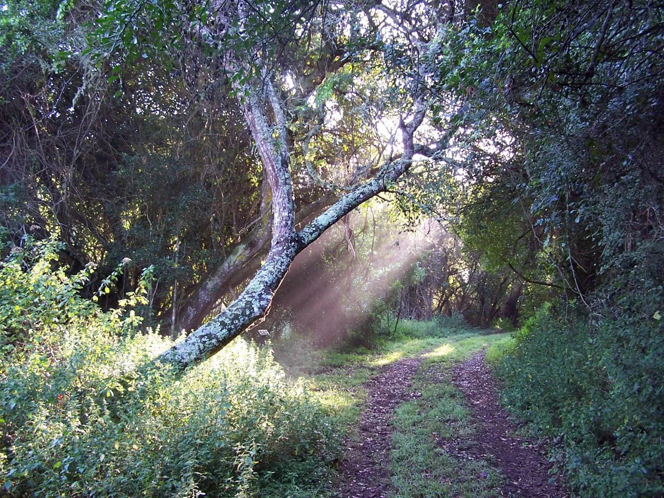 Natural landscape in Thunzi Bush Lodge