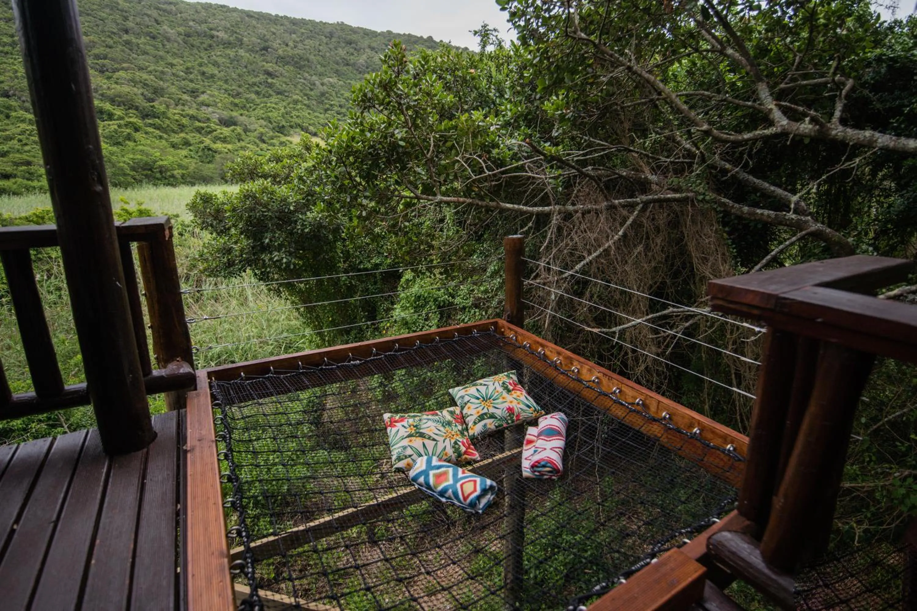 Natural landscape in Thunzi Bush Lodge