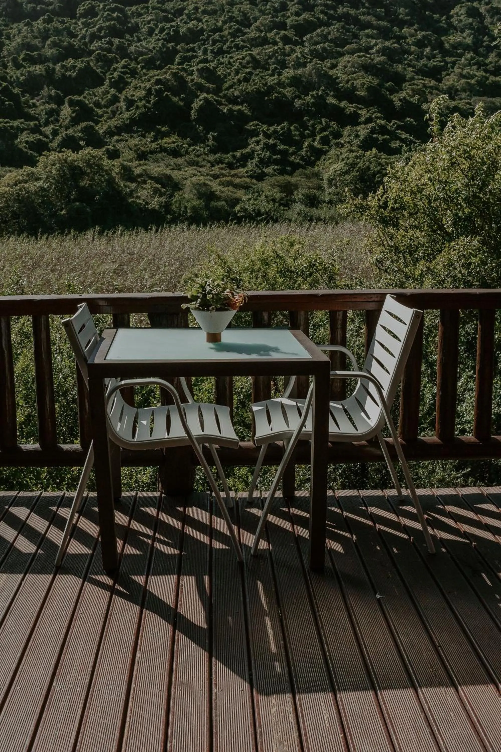 Spring in Thunzi Bush Lodge