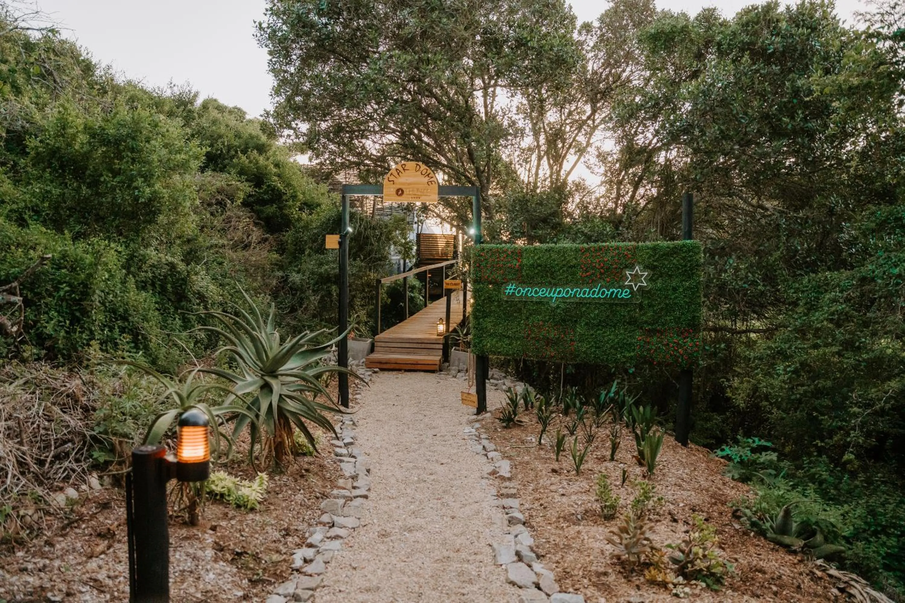 Natural landscape in Thunzi Bush Lodge