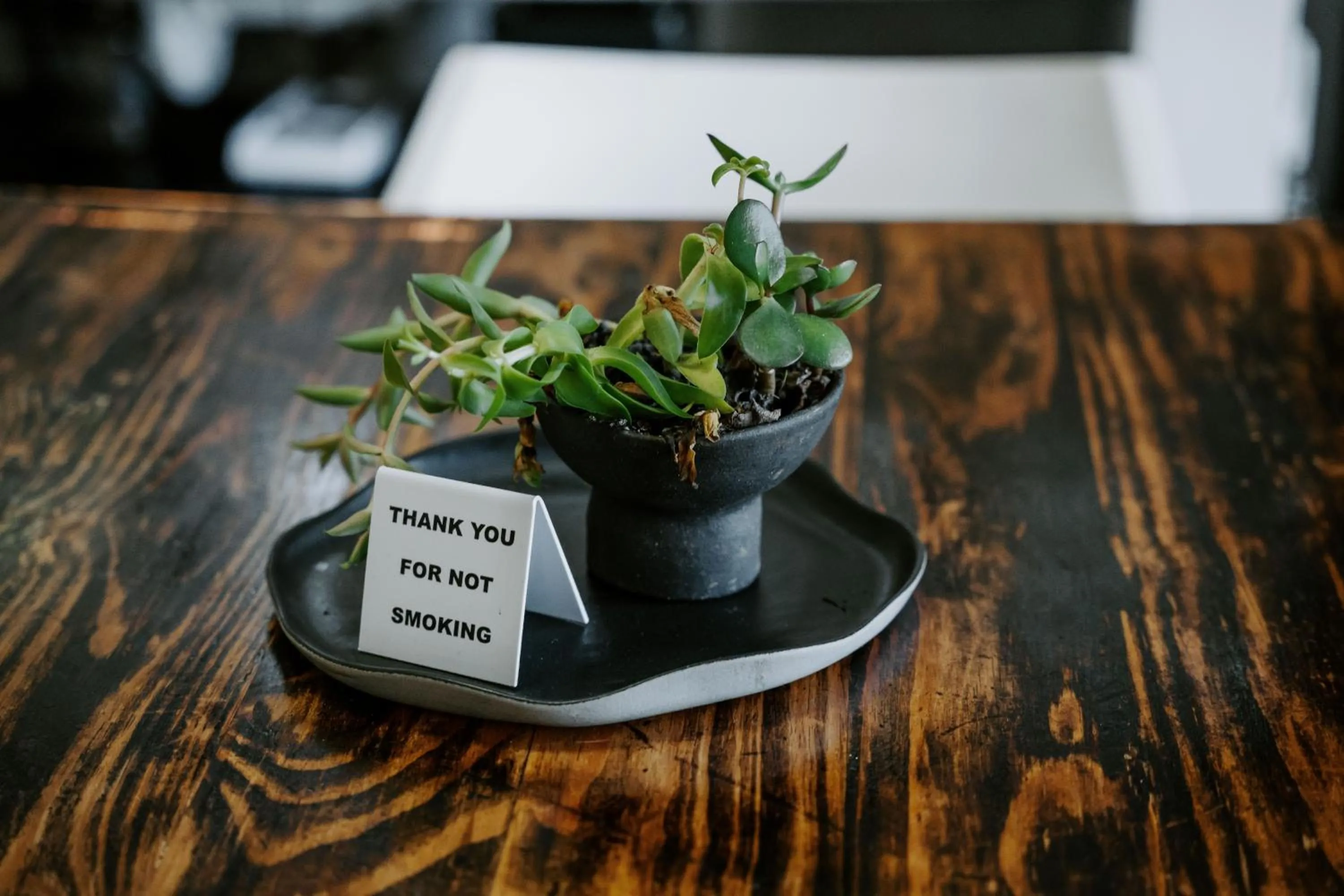 Decorative detail in Thunzi Bush Lodge