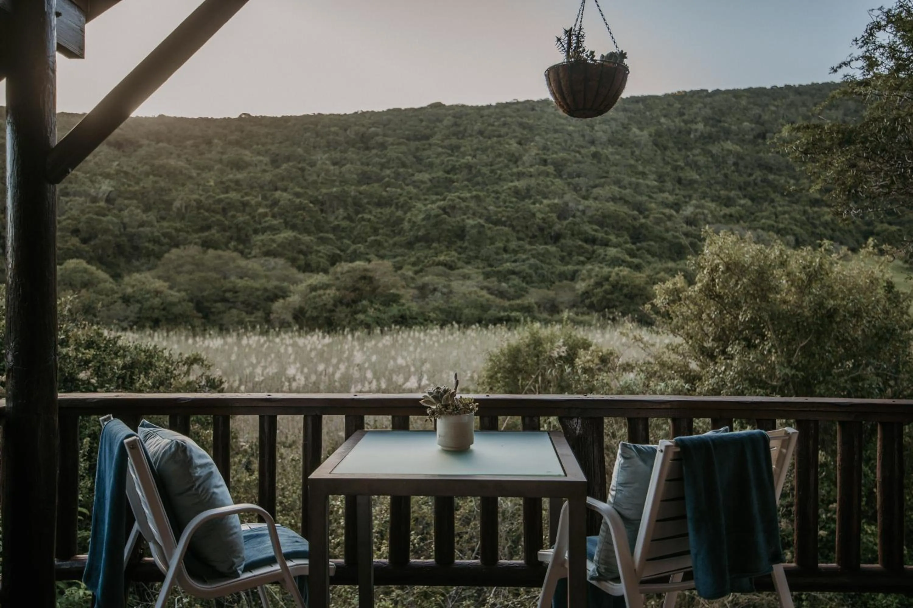 View (from property/room) in Thunzi Bush Lodge
