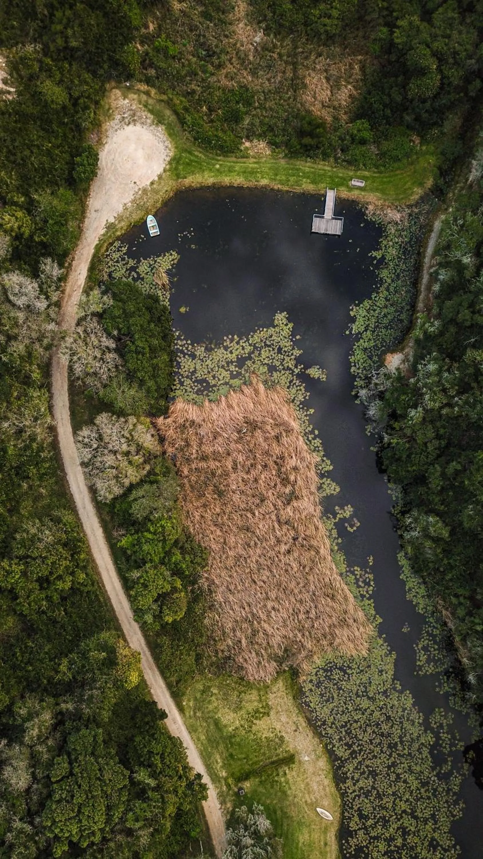 Natural landscape in Thunzi Bush Lodge