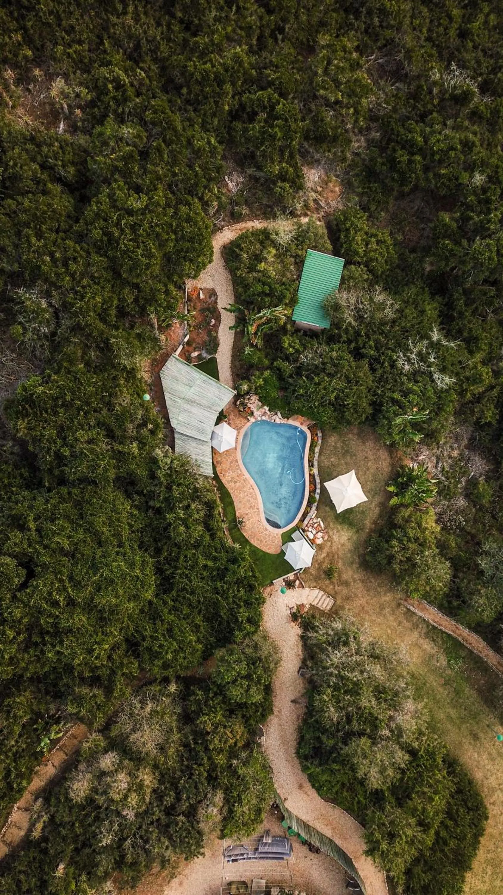 Natural landscape in Thunzi Bush Lodge