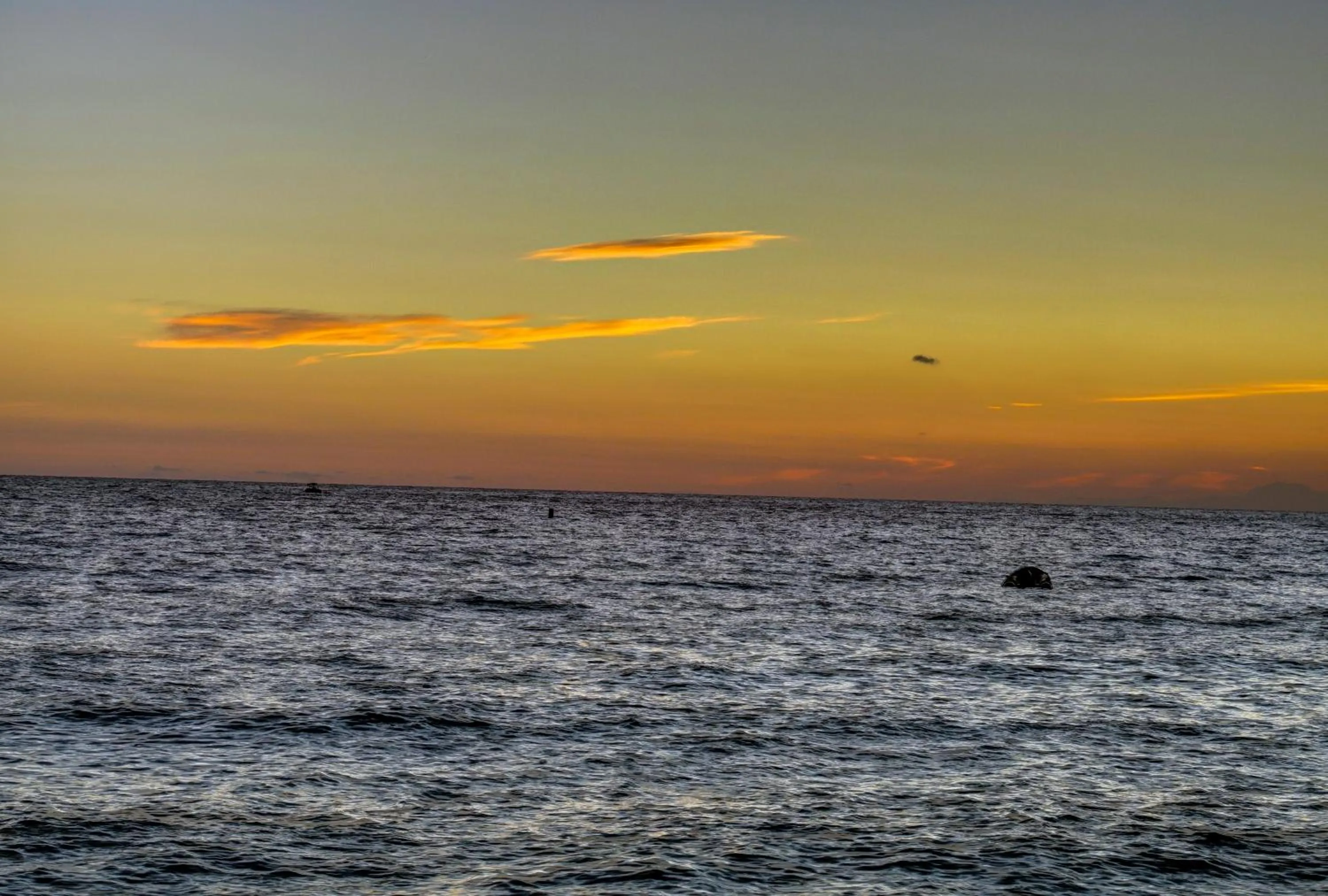 Sea view in Blue Fish Hotel All Inclusive