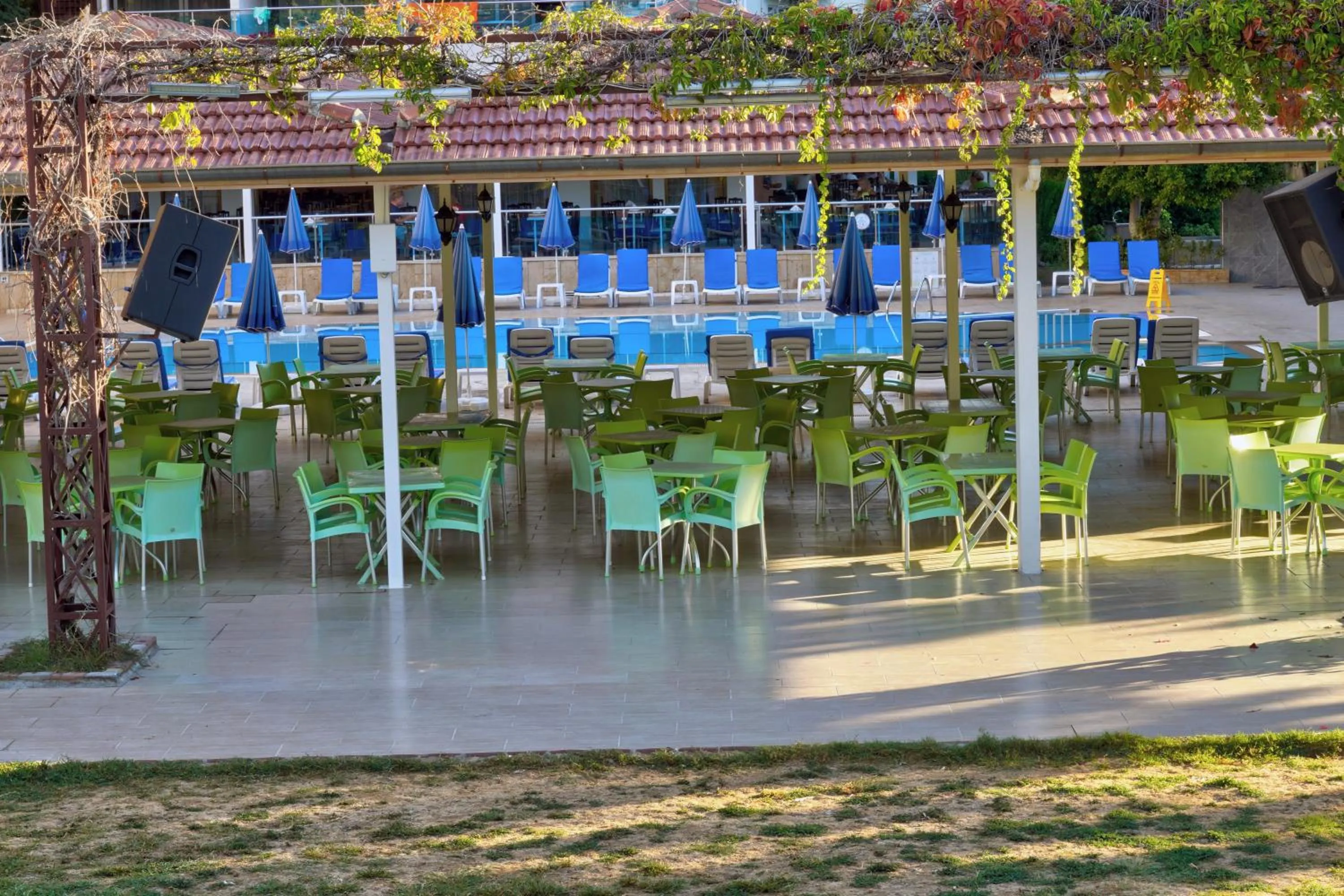 Garden in Blue Fish Hotel All Inclusive