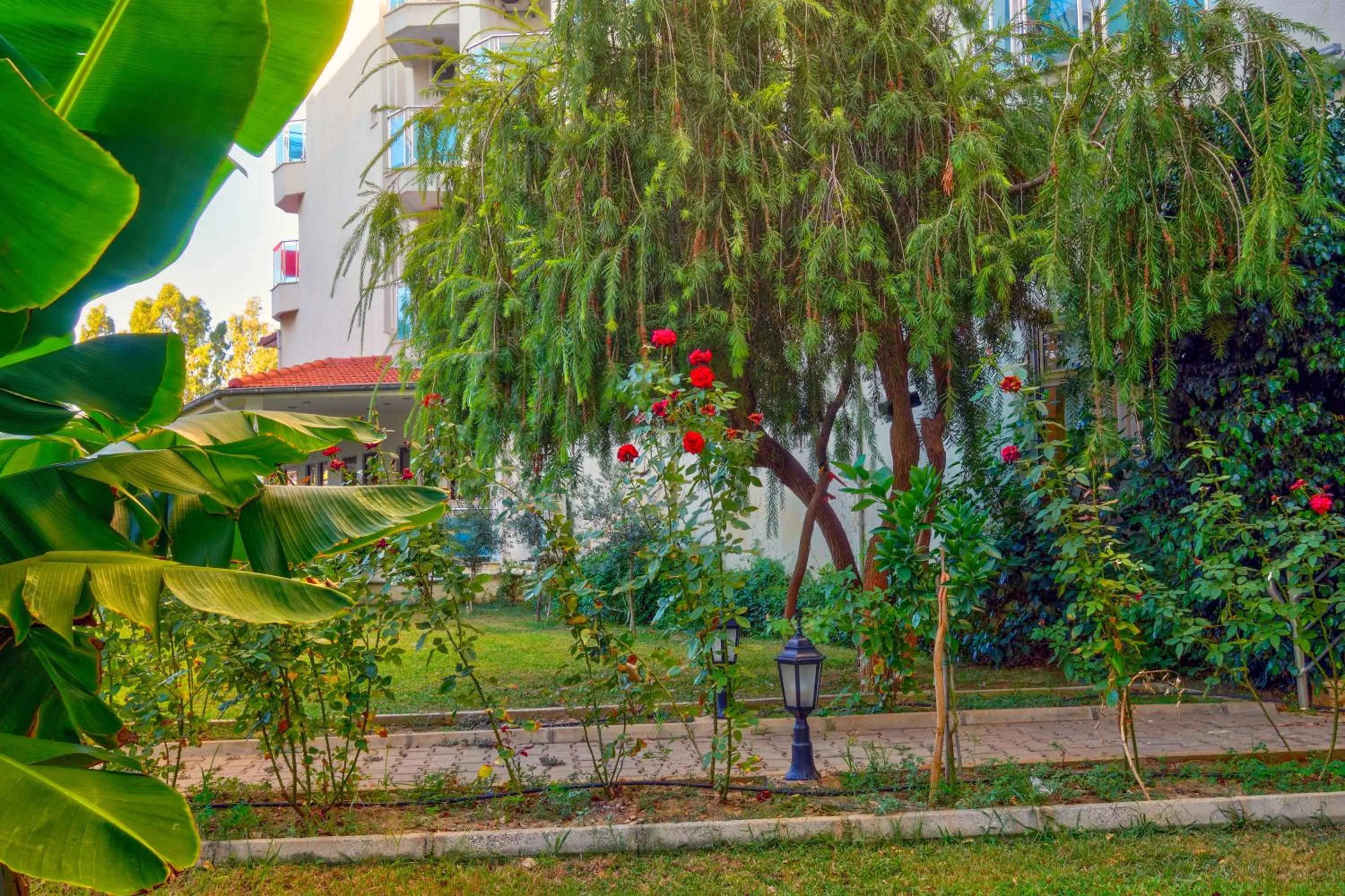 Natural landscape in Blue Fish Hotel All Inclusive