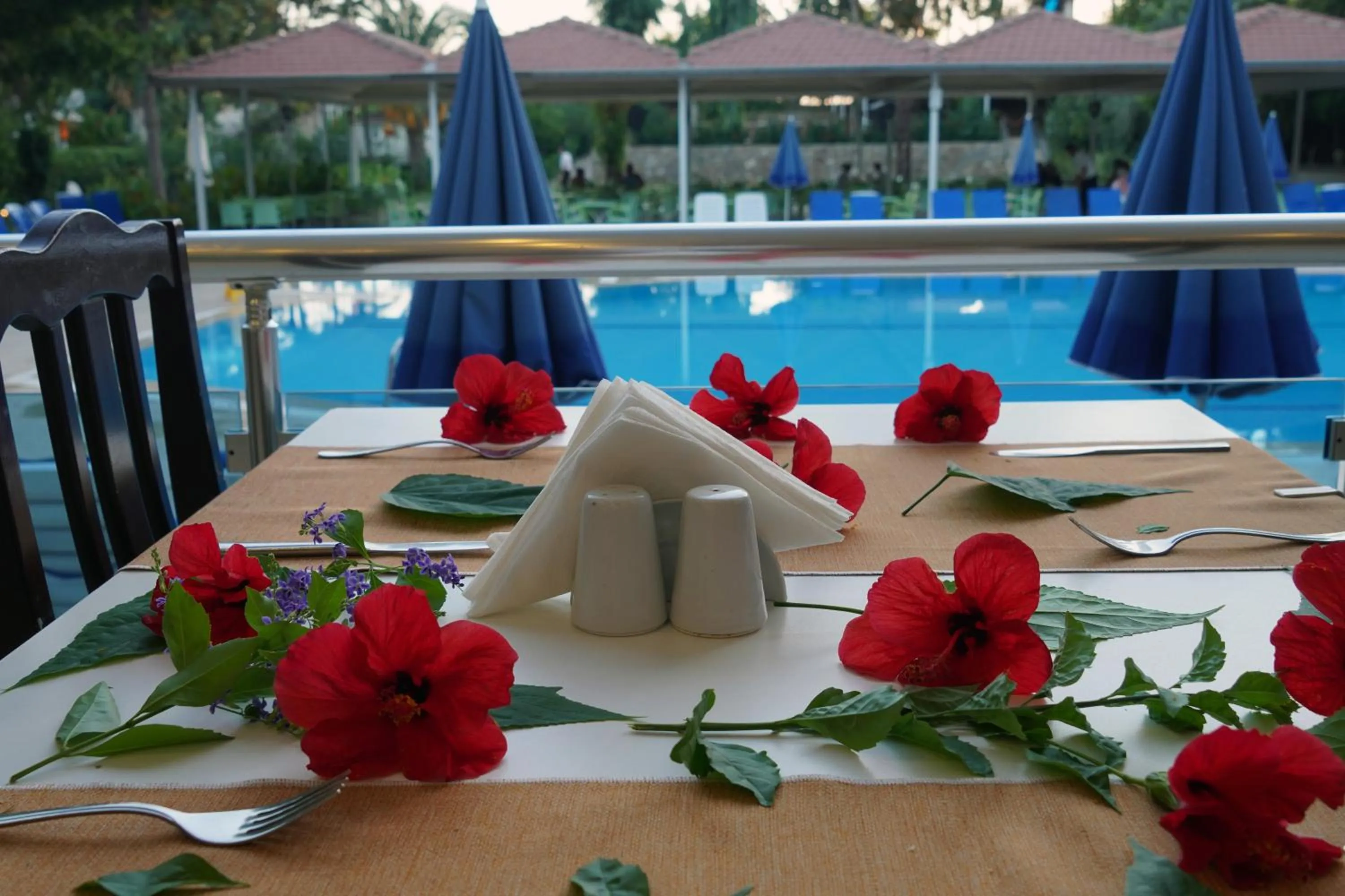 Lounge or bar in Blue Fish Hotel All Inclusive