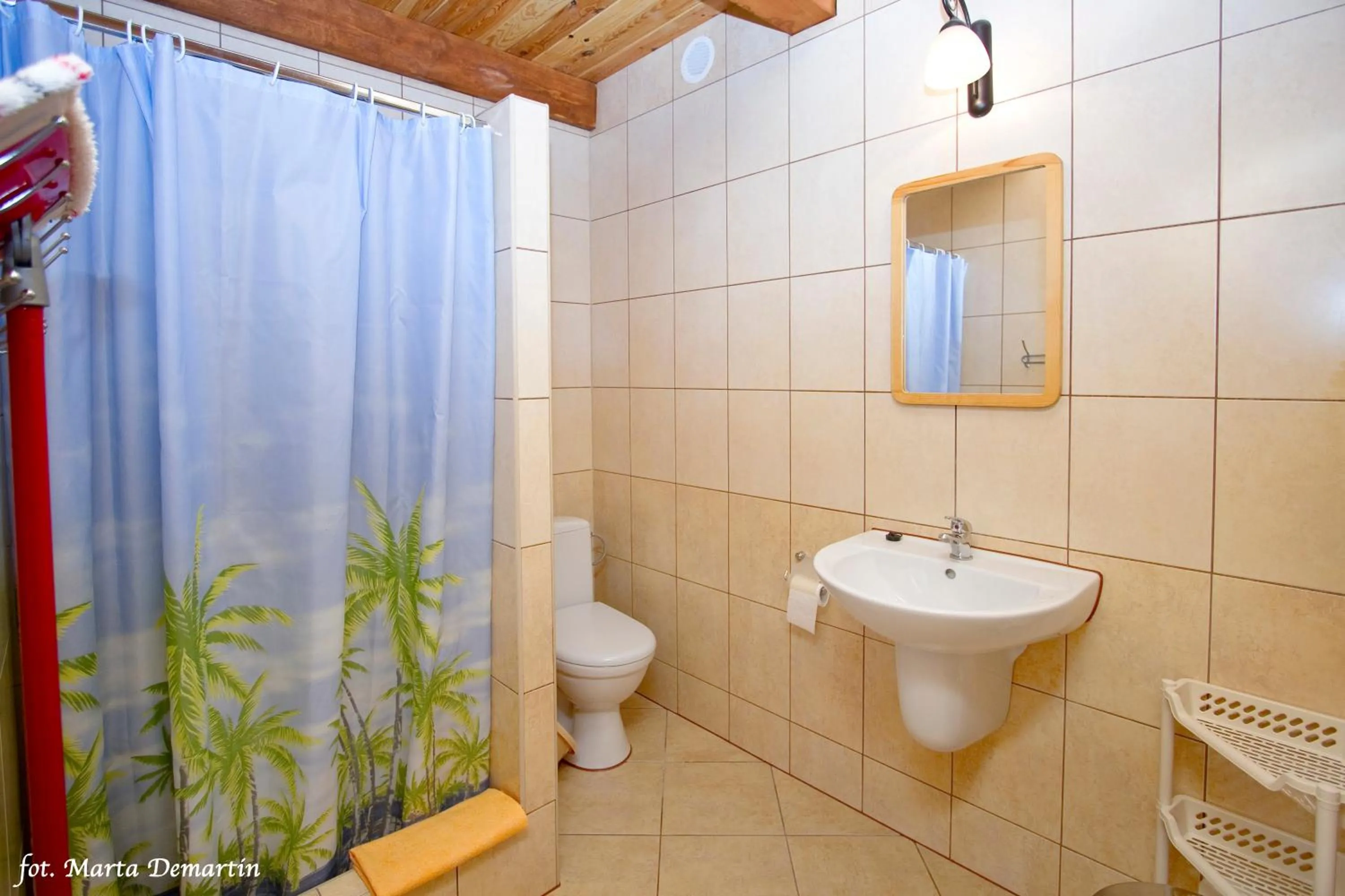 Shower in Domki Ania